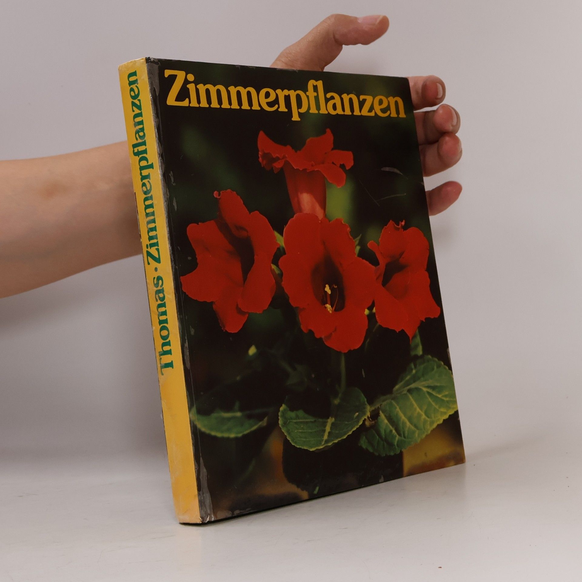 Editha Thomas Zimmerpflanzen