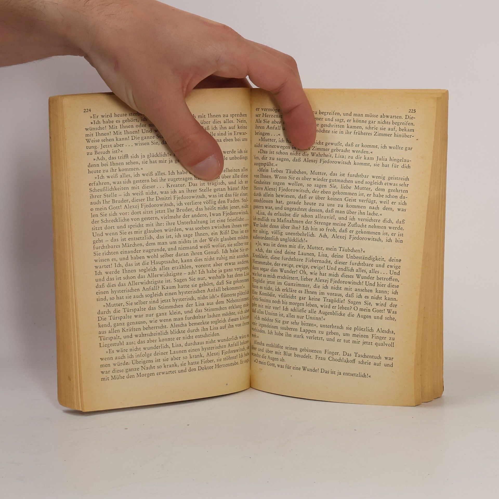 Fyodor Dostoyevsky Die Brüder Karamasoff I