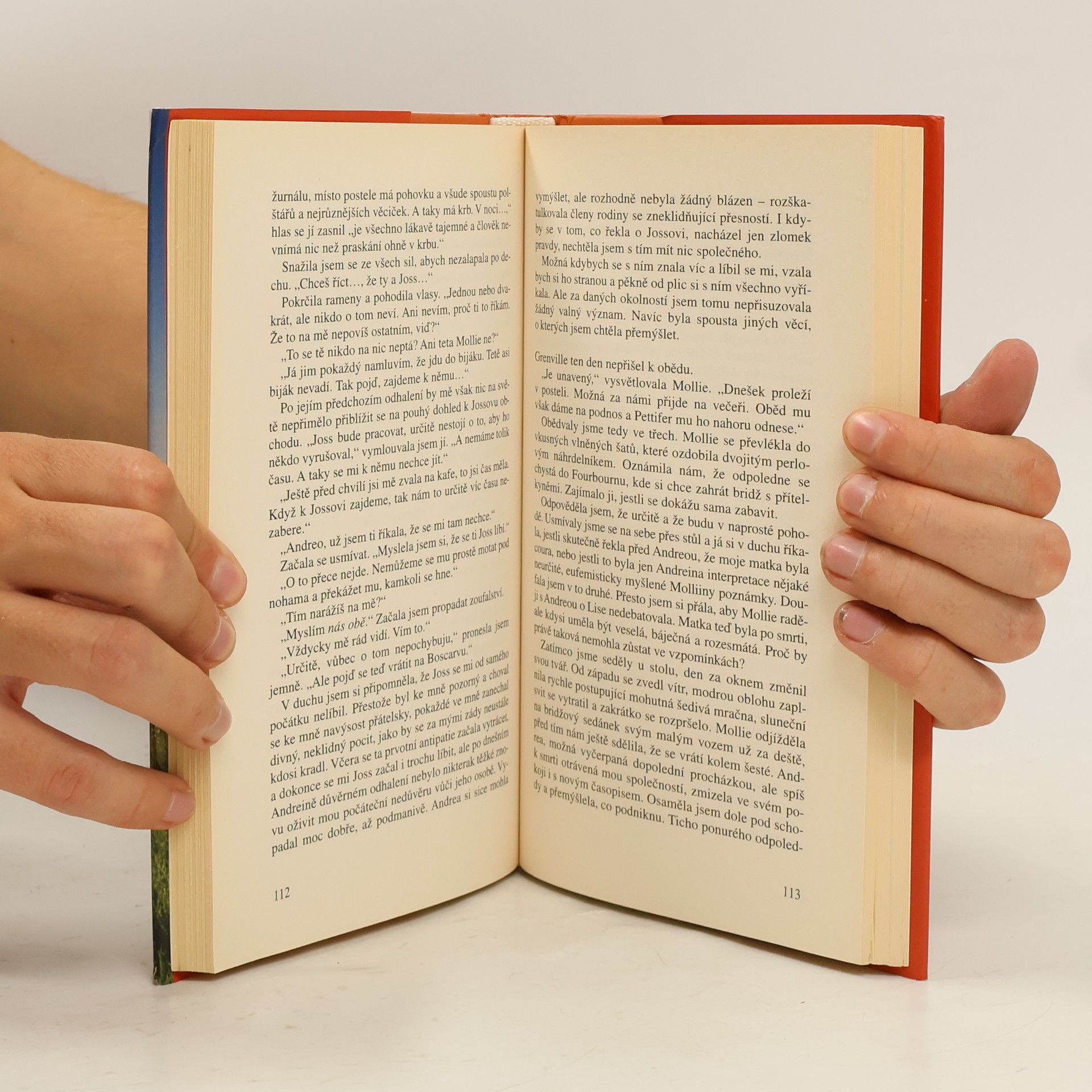 Rosamunde Pilcher Bouřlivé pobřeží