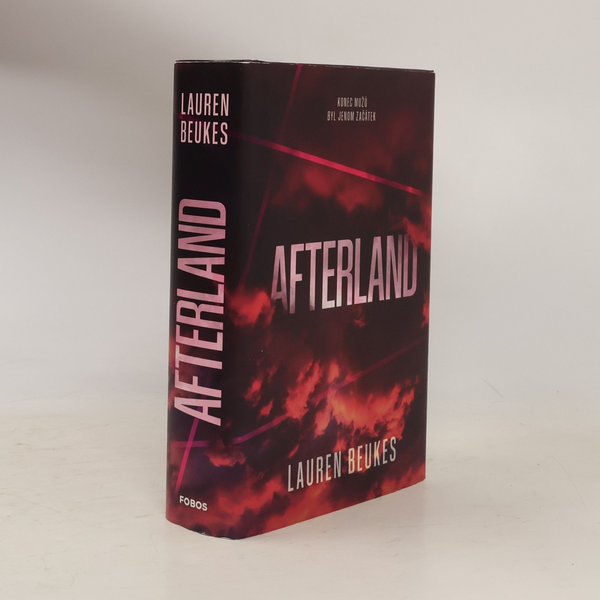 Lauren Beukes Afterland