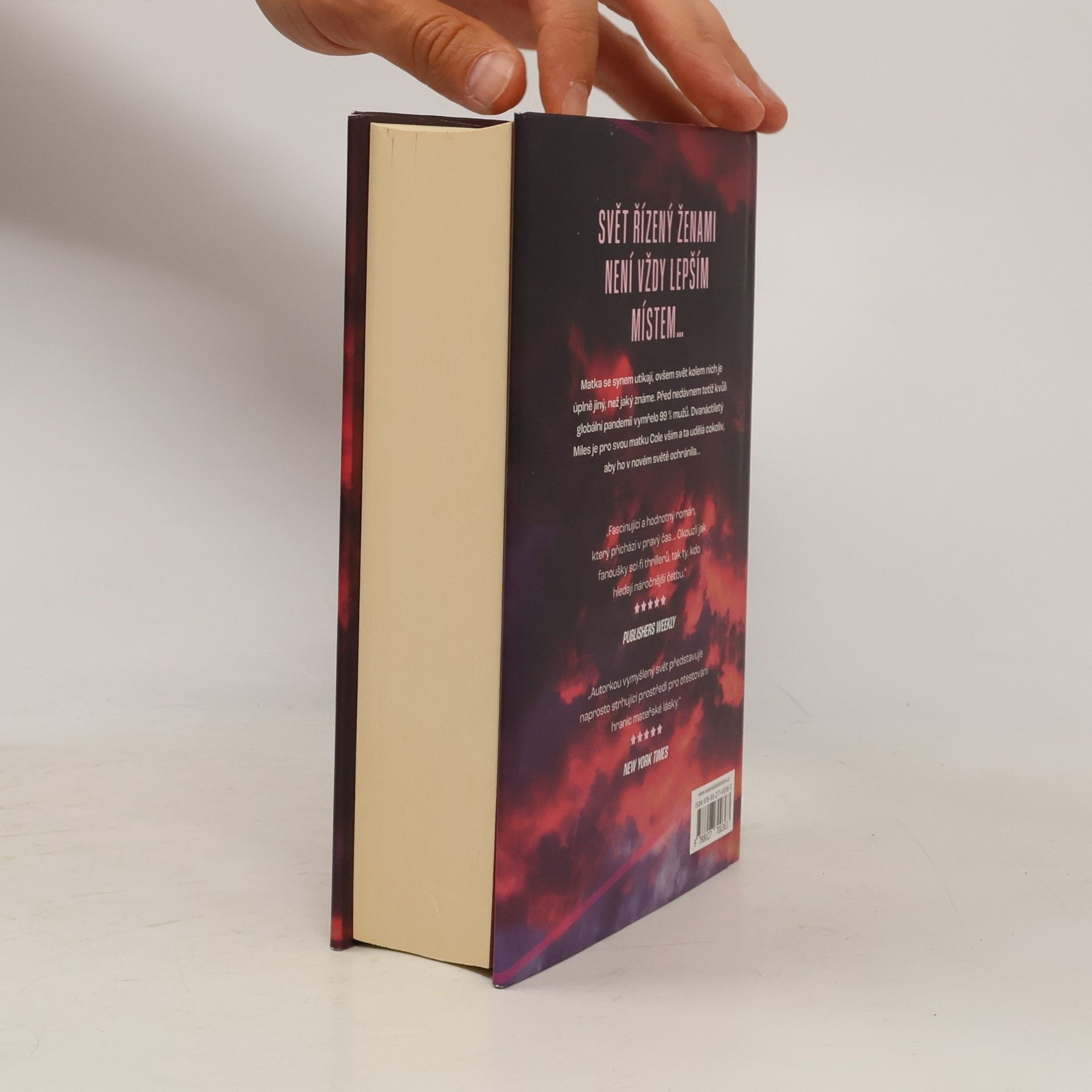 Lauren Beukes Afterland