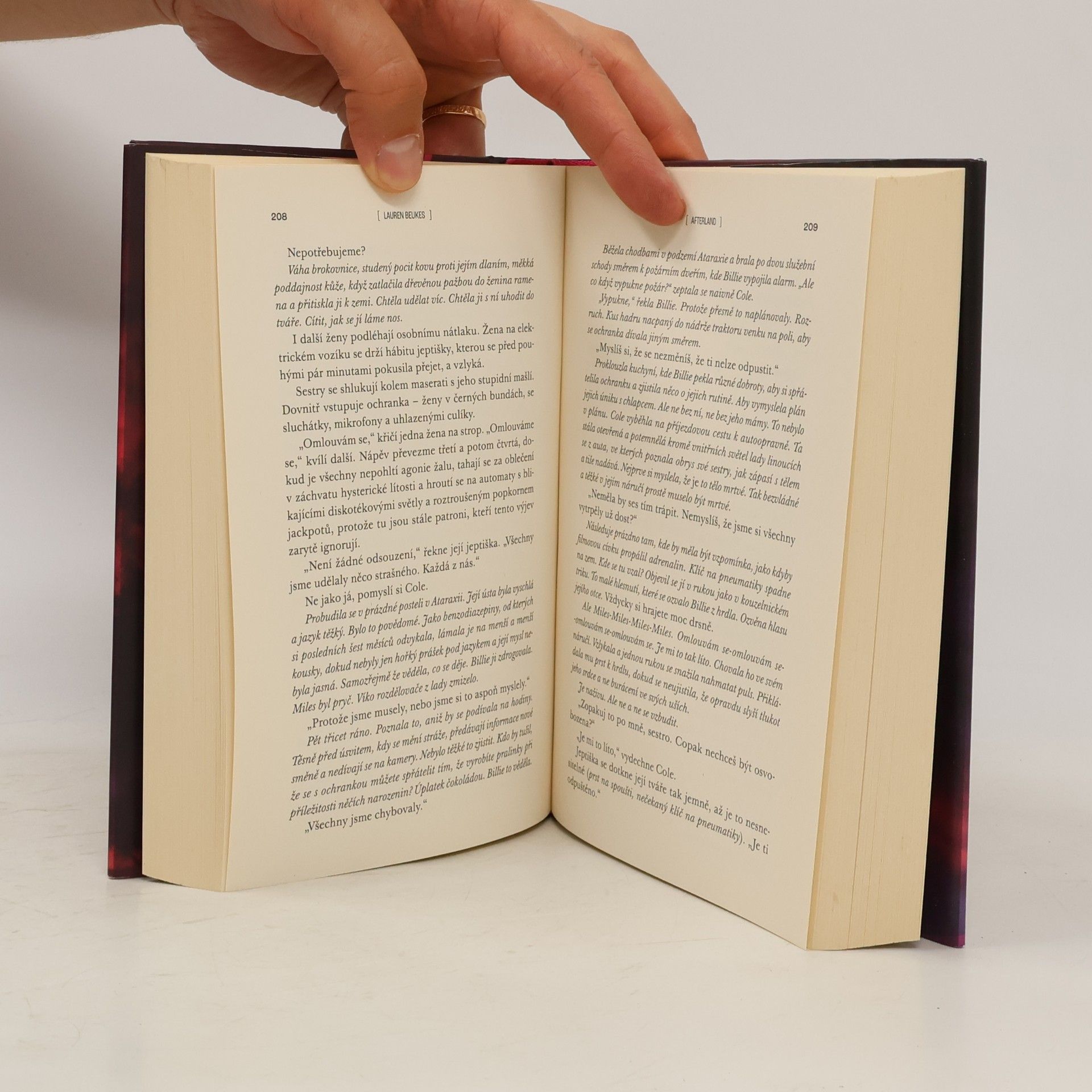 Lauren Beukes Afterland
