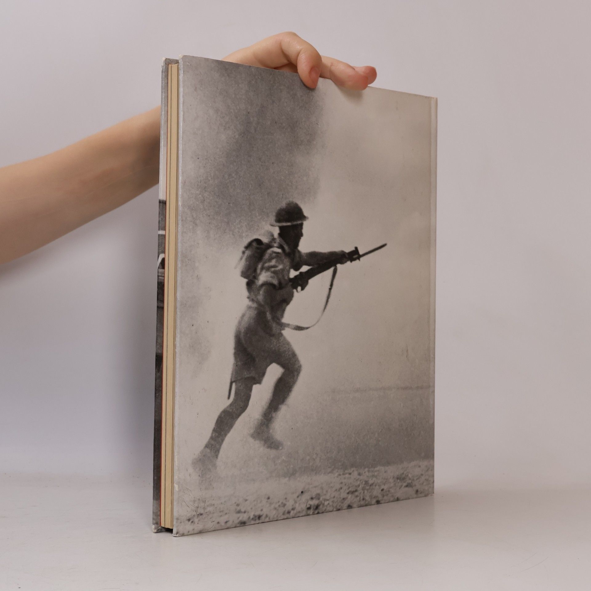 Richard Collier Der Krieg in der Wüste. Der Zweite Weltkrieg