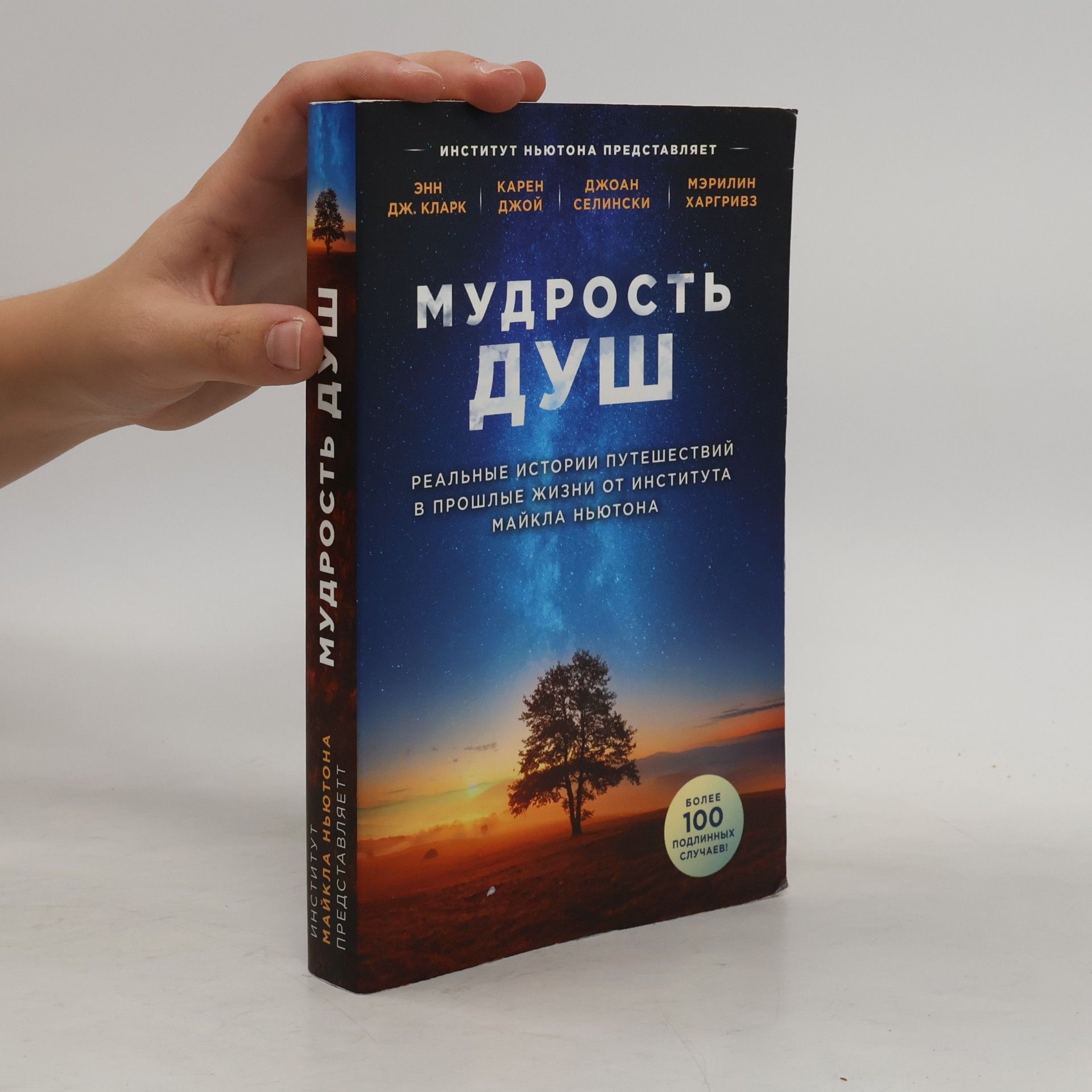 Энн Дж. Кларк Мудрость душ. Реальные истории путешествий в прошлые жизни от Института Майкла Ньютона