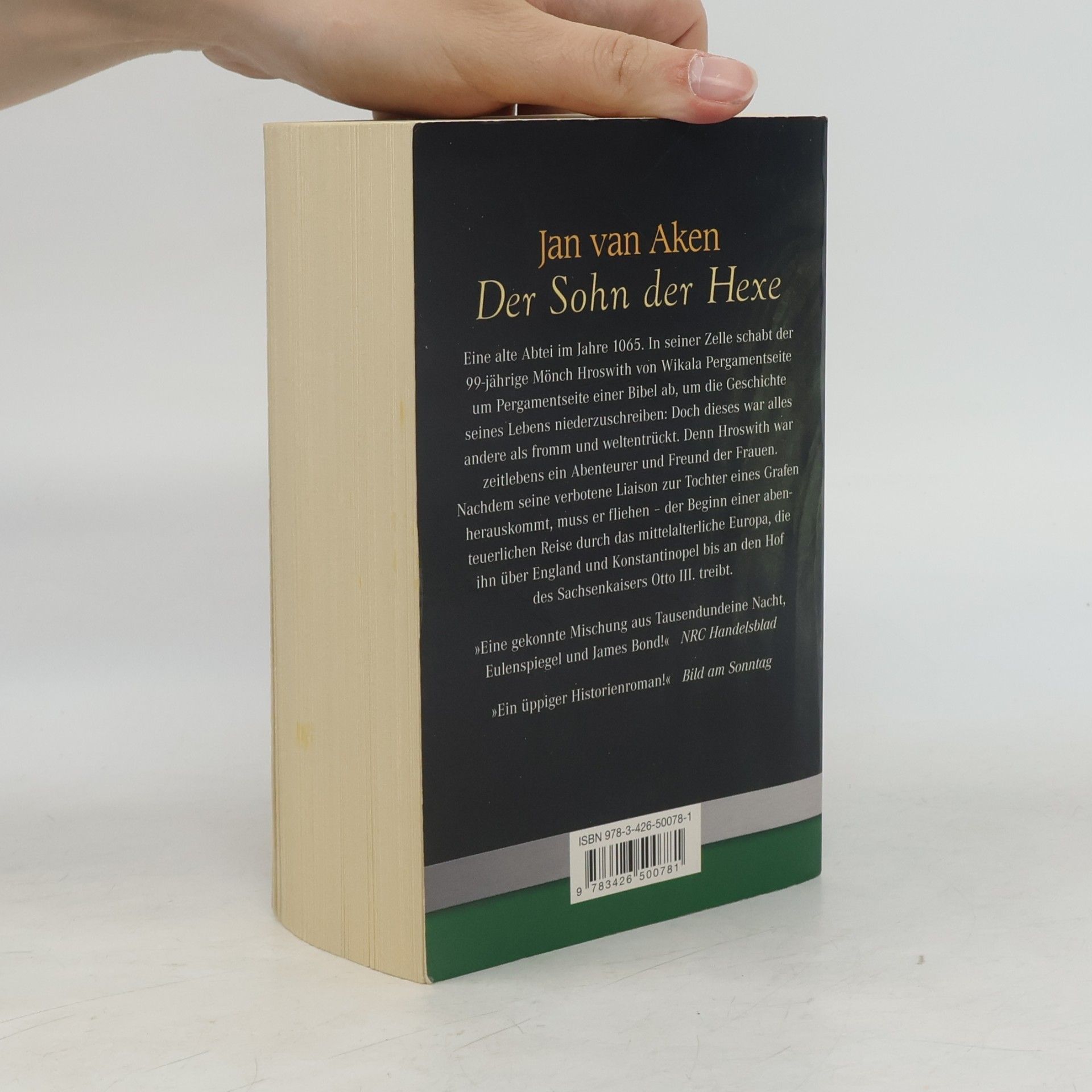 Jan van Aken Der Sohn der Hexe