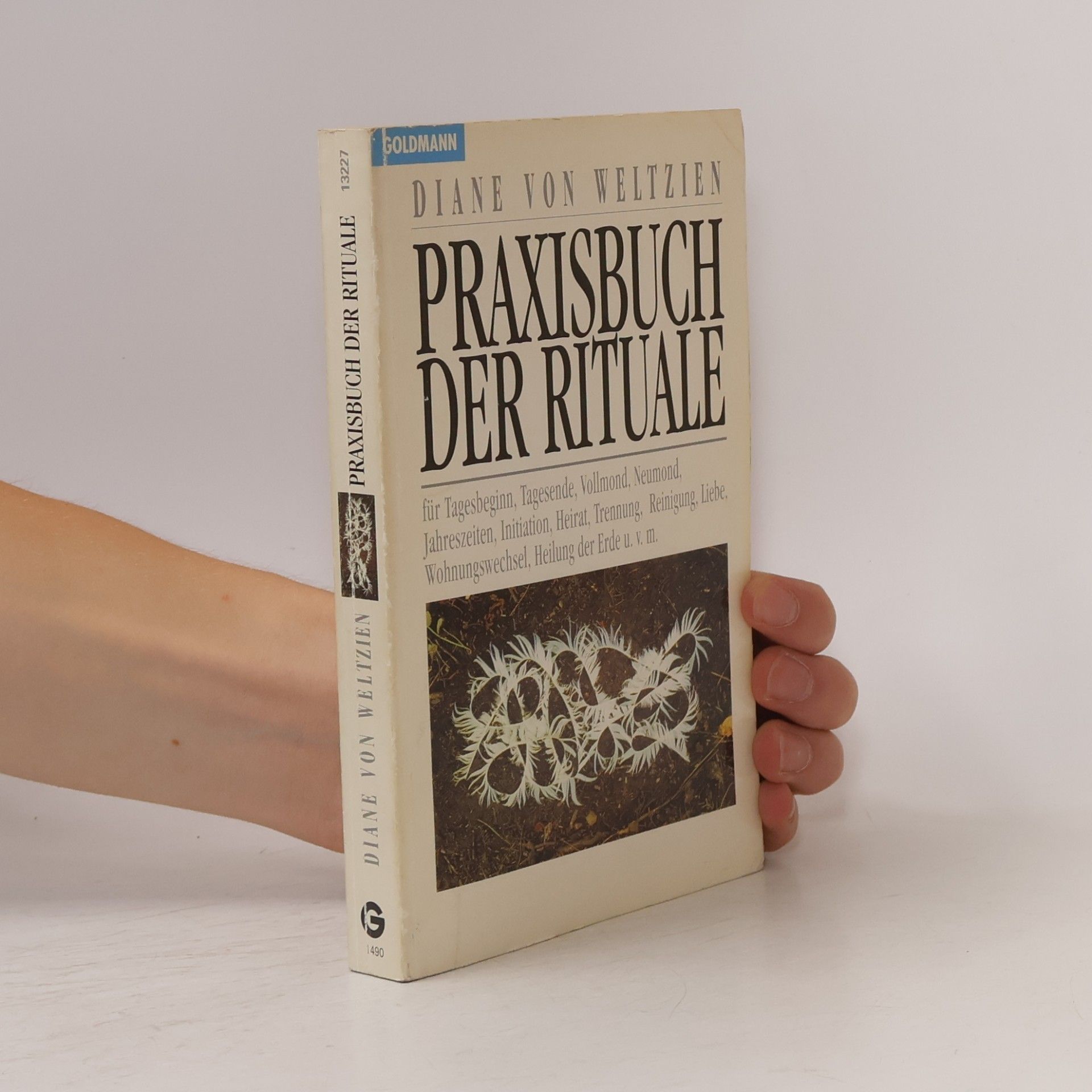 Diane von Weltzien Praxisbuch der Rituale