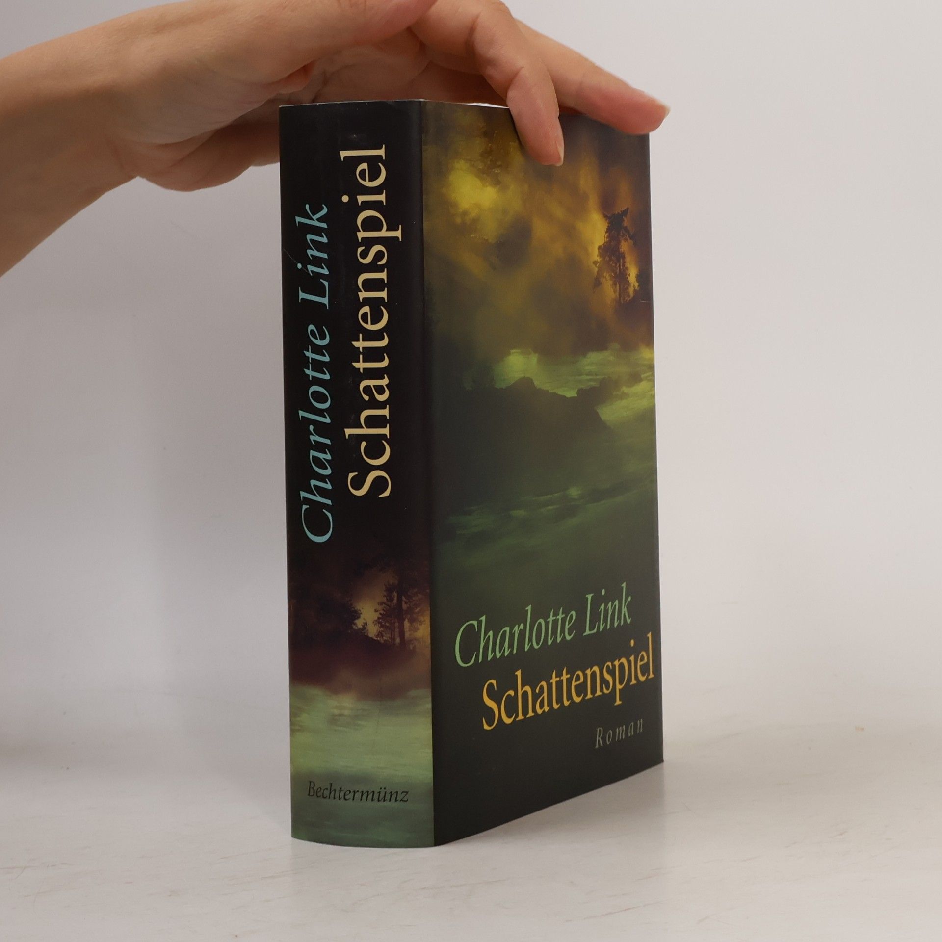 Charlotte Link Schattenspiel