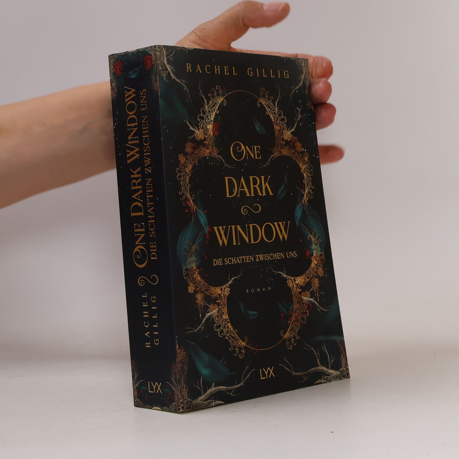 Rachel Gillig One Dark Window - Die Schatten zwischen uns
