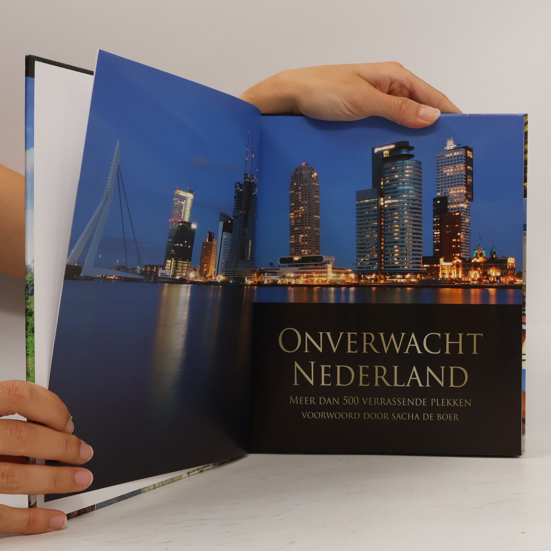 Bartho Hendriksen Capitool reisgidsen : Onverwacht Nederland