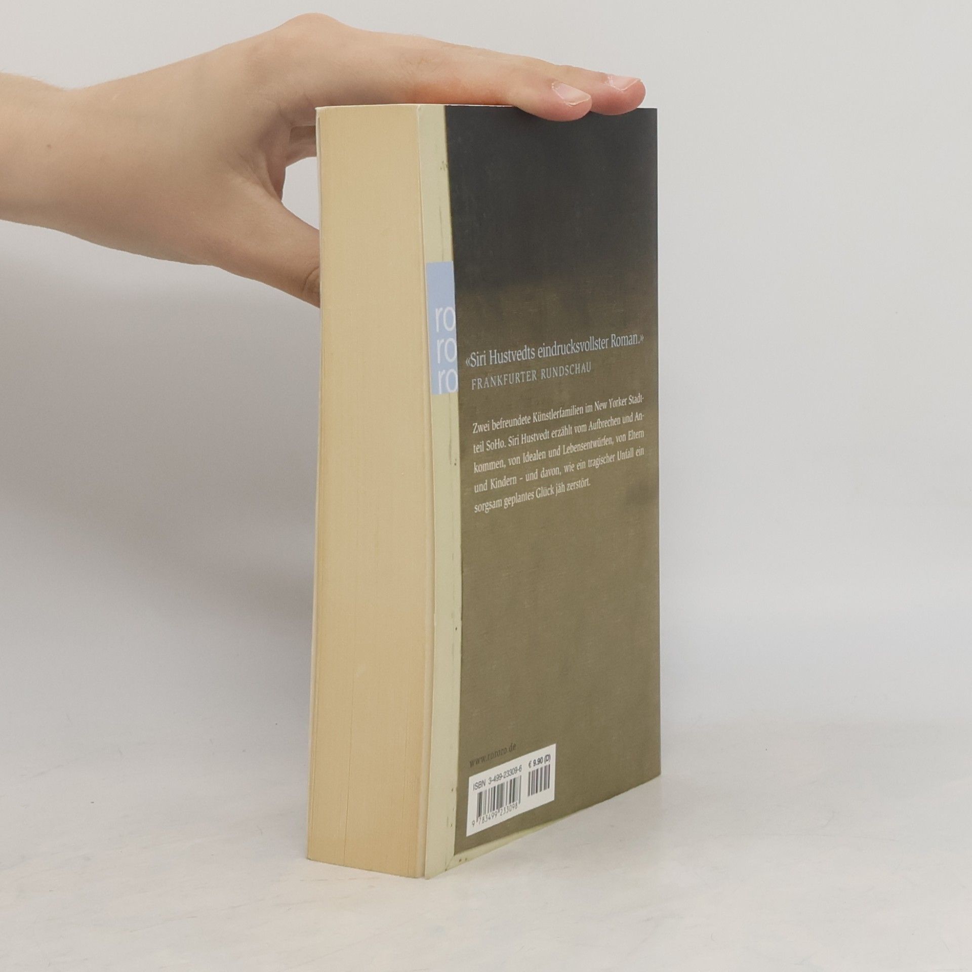 Siri Hustvedt Was ich liebte