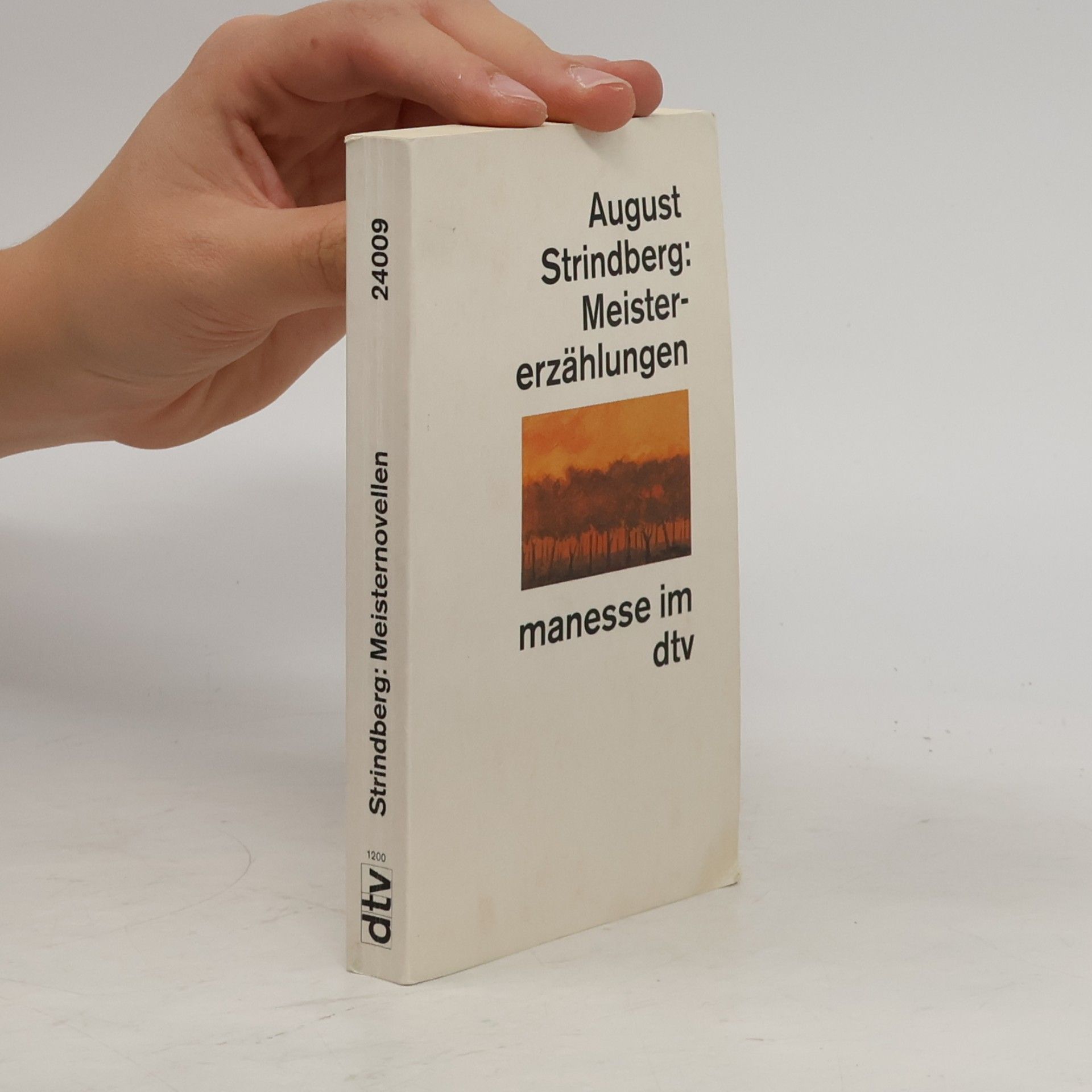 Meistererzählungen