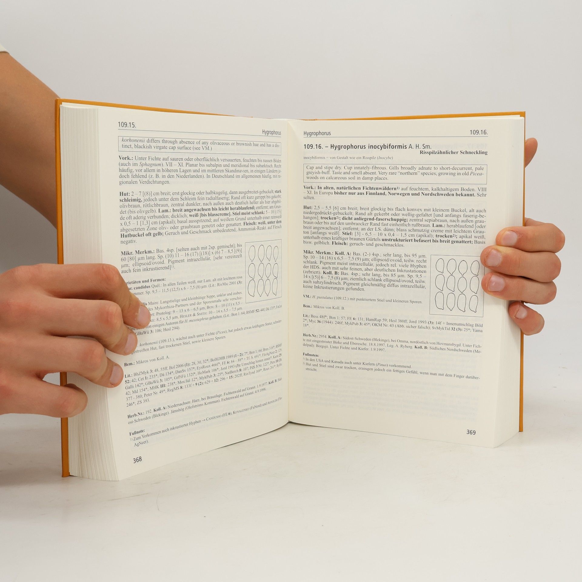 Ludwig Erhard Pilzkompendium 3. Beschreibungen