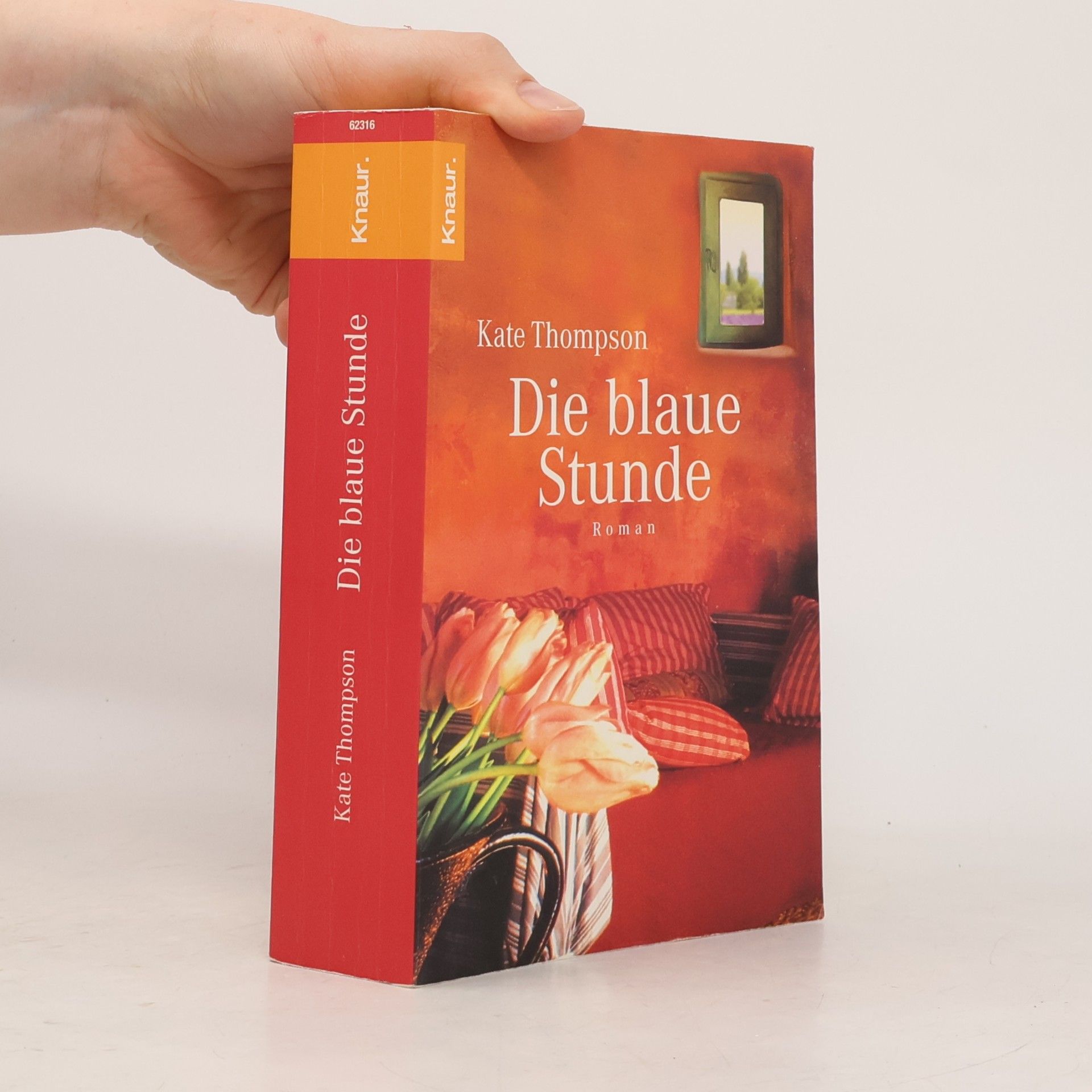 Kate Thompson Die blaue Stunde