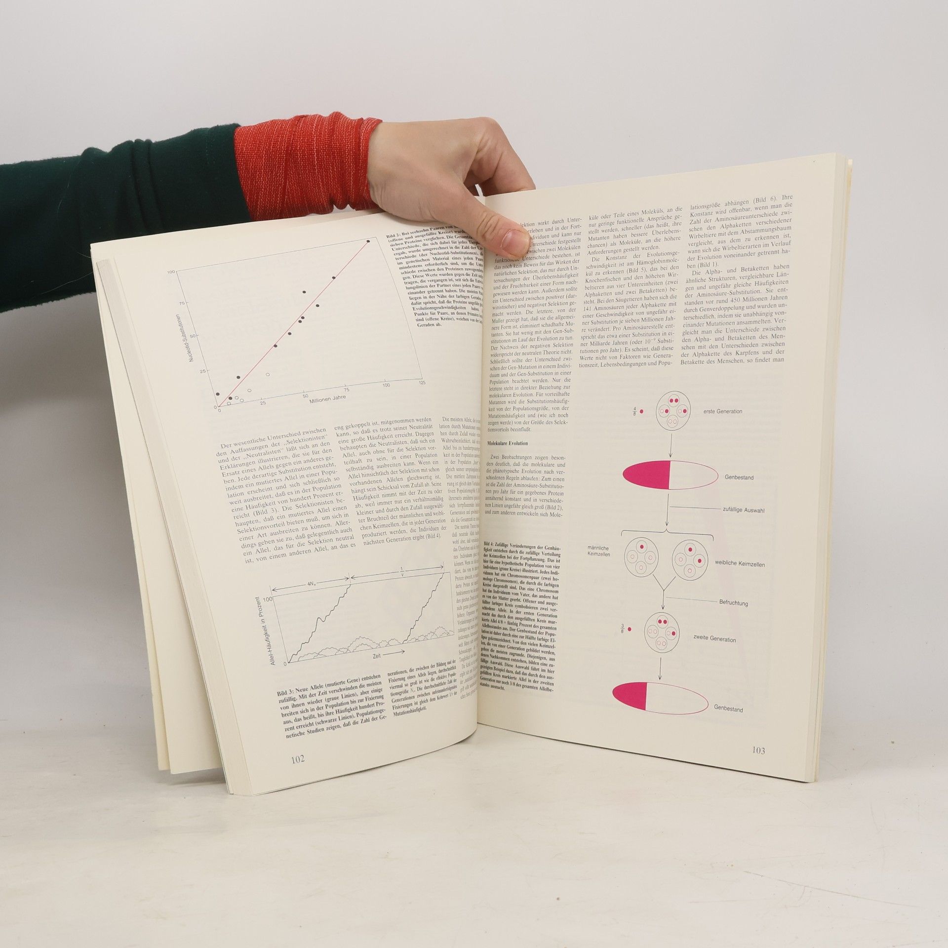 Ernst Mayr Evolution