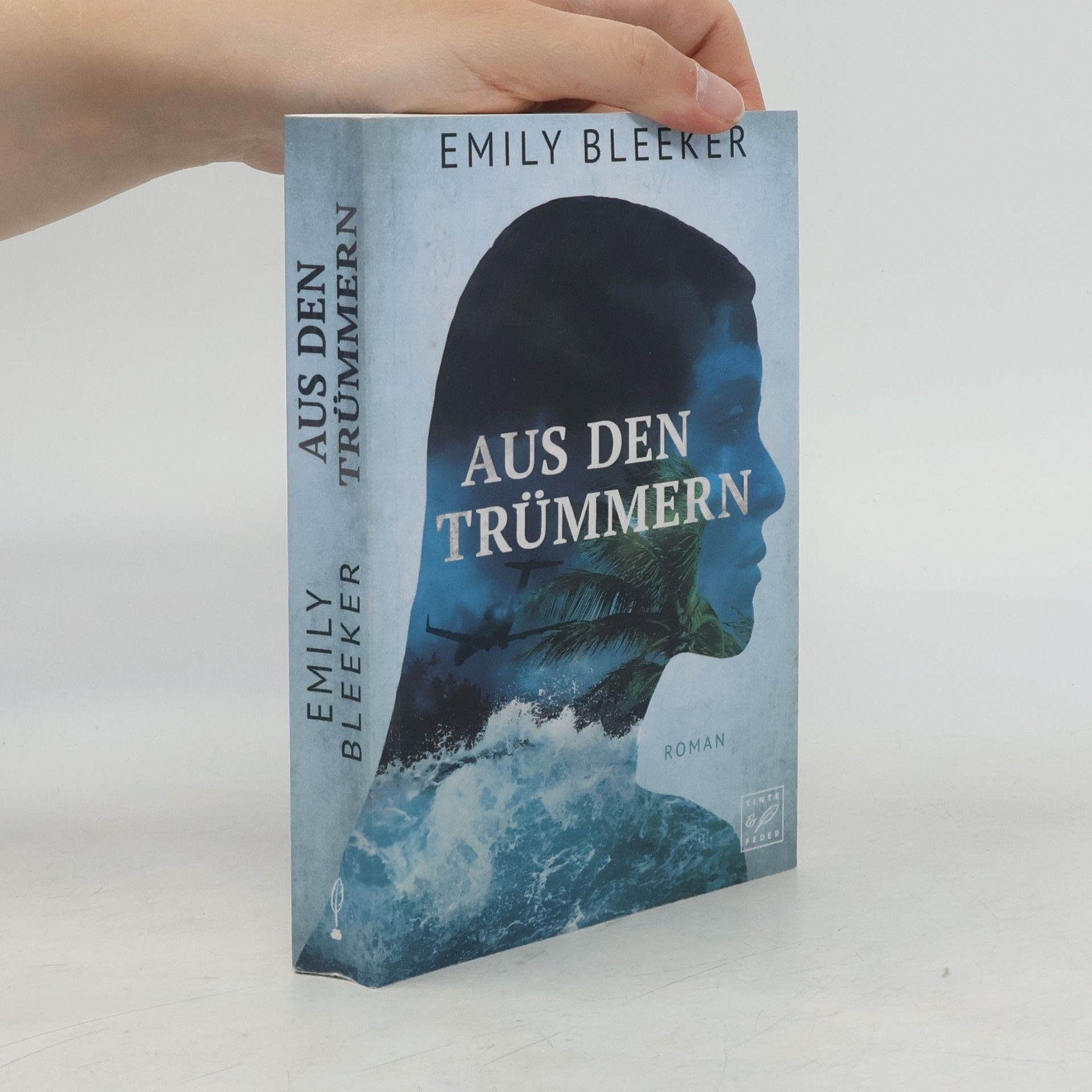 Emily Bleeker Aus den Trümmern