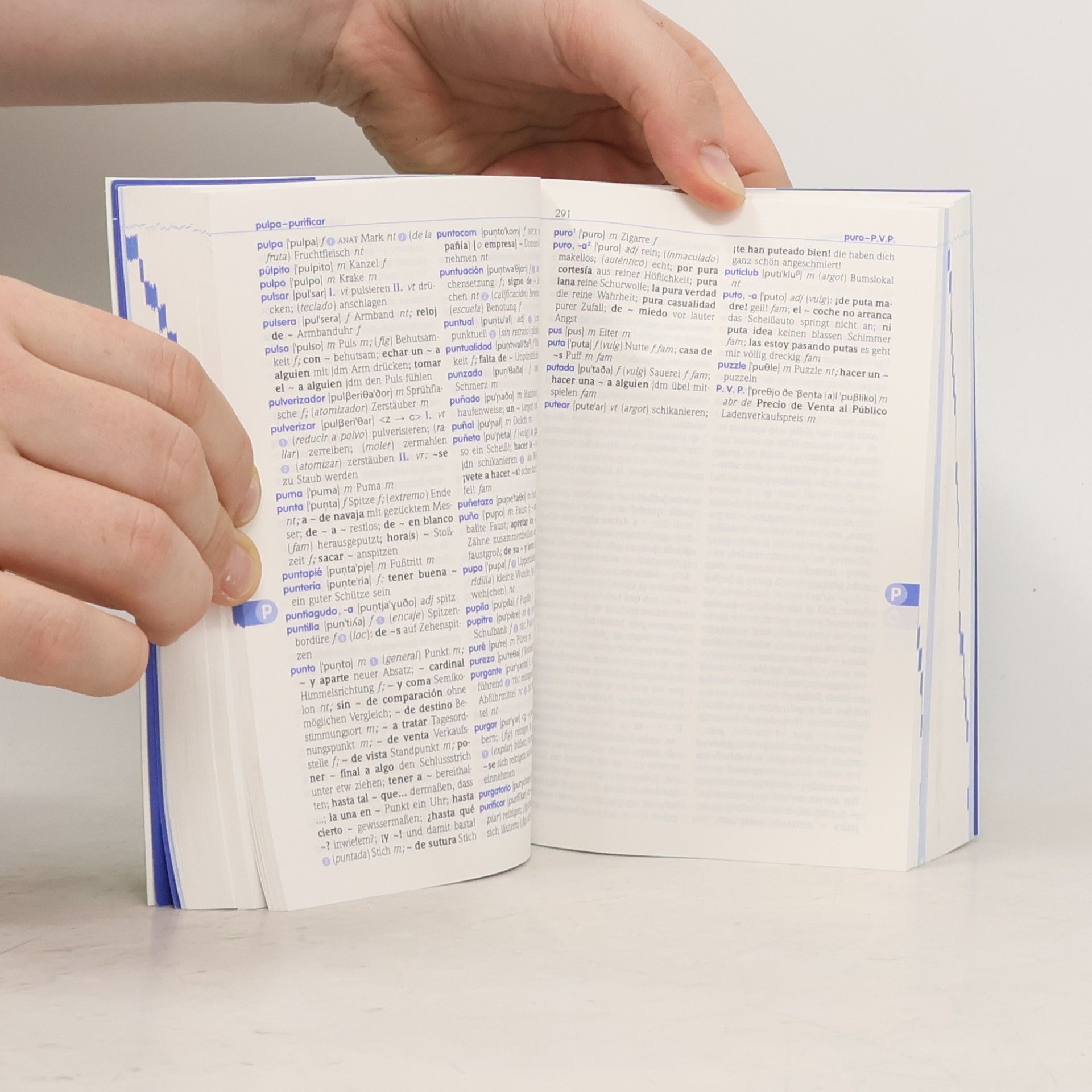 M. Carmen Almendros de la Rosa PONS Basiswörterbuch Spanisch-Deutsch, Deutsch-Spanisch