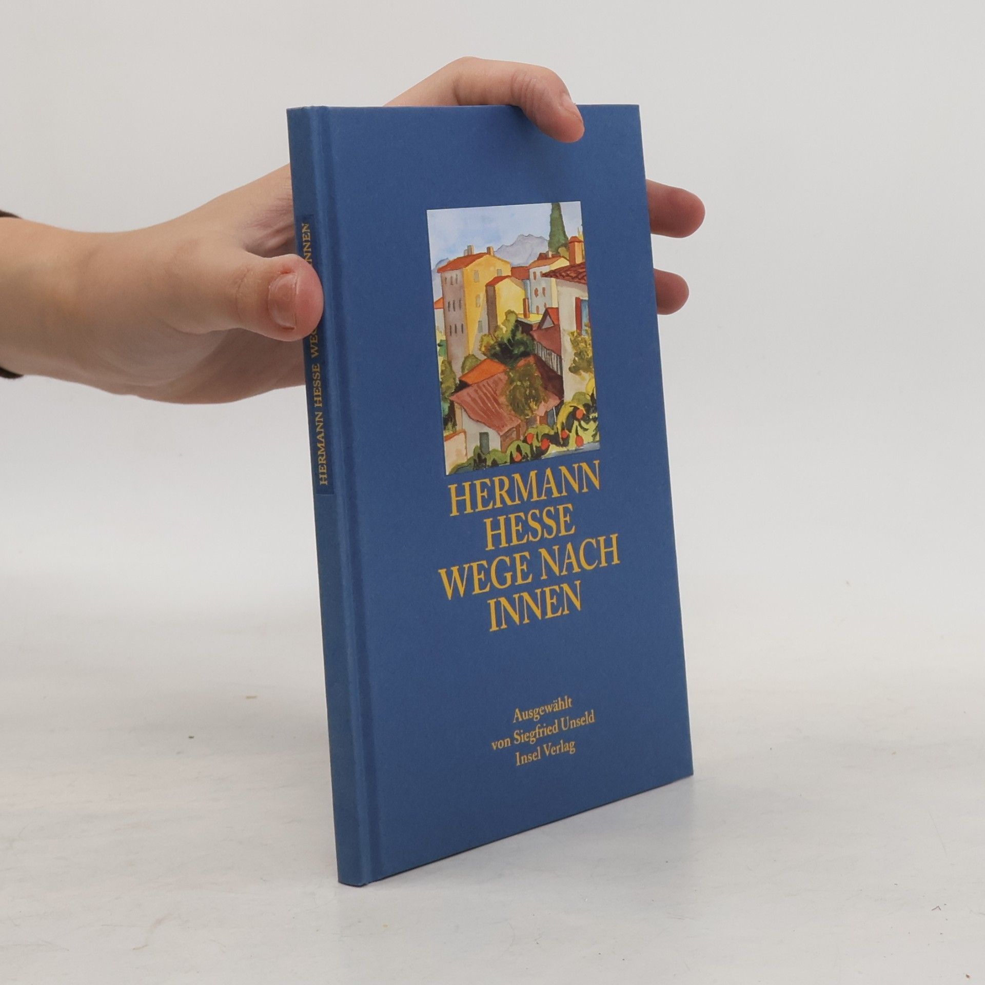 Hermann Hesse Wege nach innen