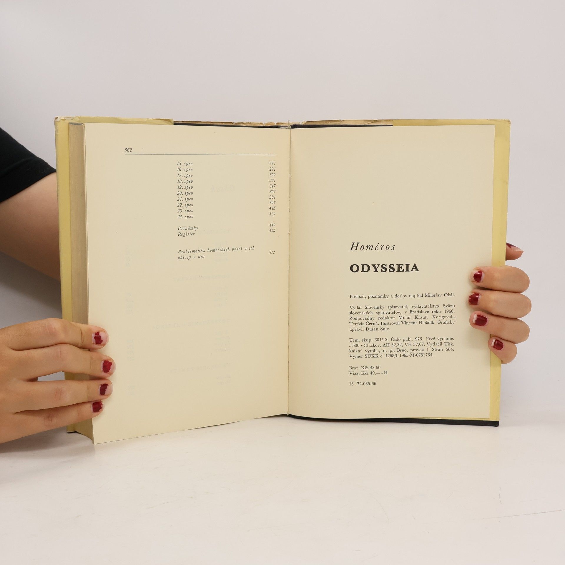 Homér Odysseia