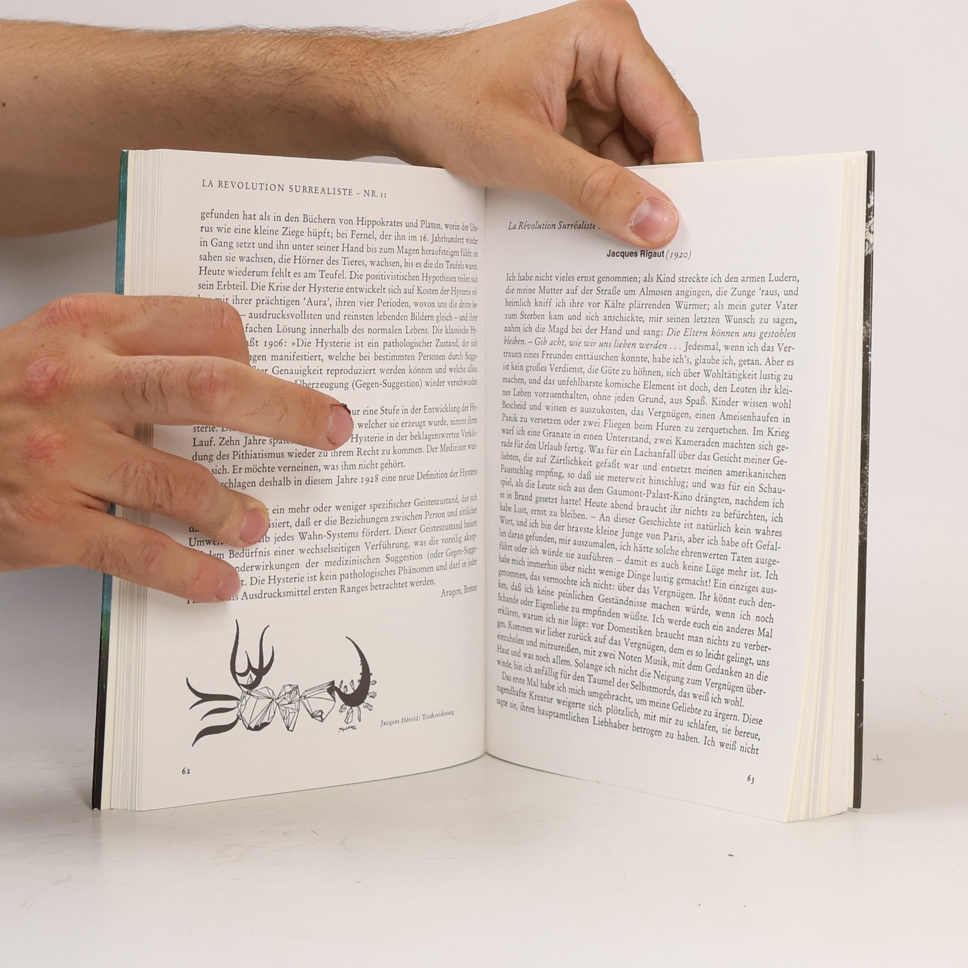 Patrick Waldberg Der Surrealismus