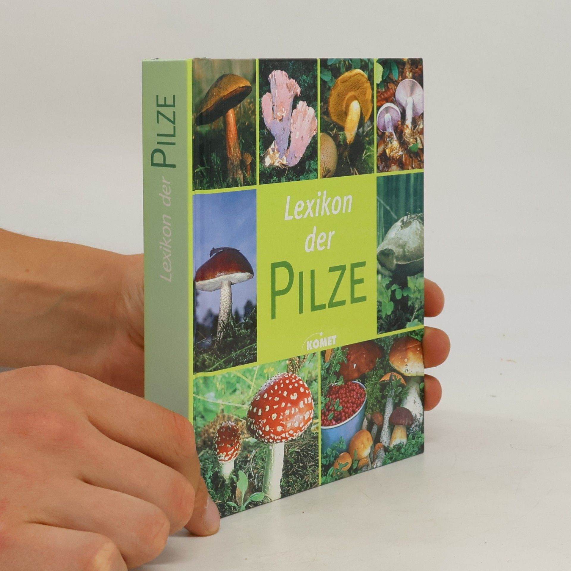 Hans W. Kothe Lexikon der Pilze