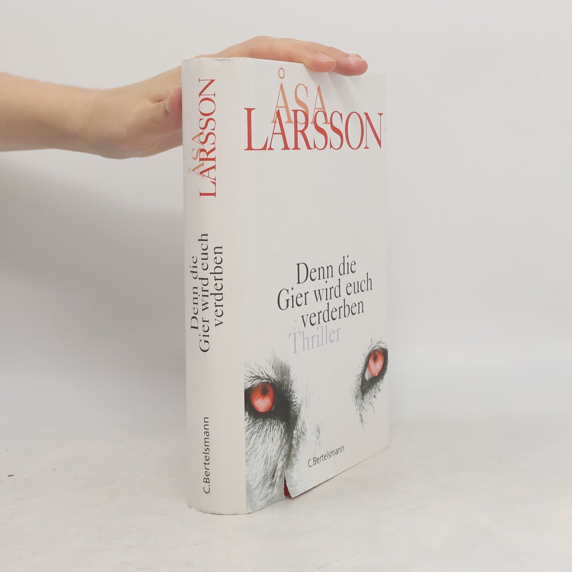 Åsa Larsson Denn die Gier wird euch verderben