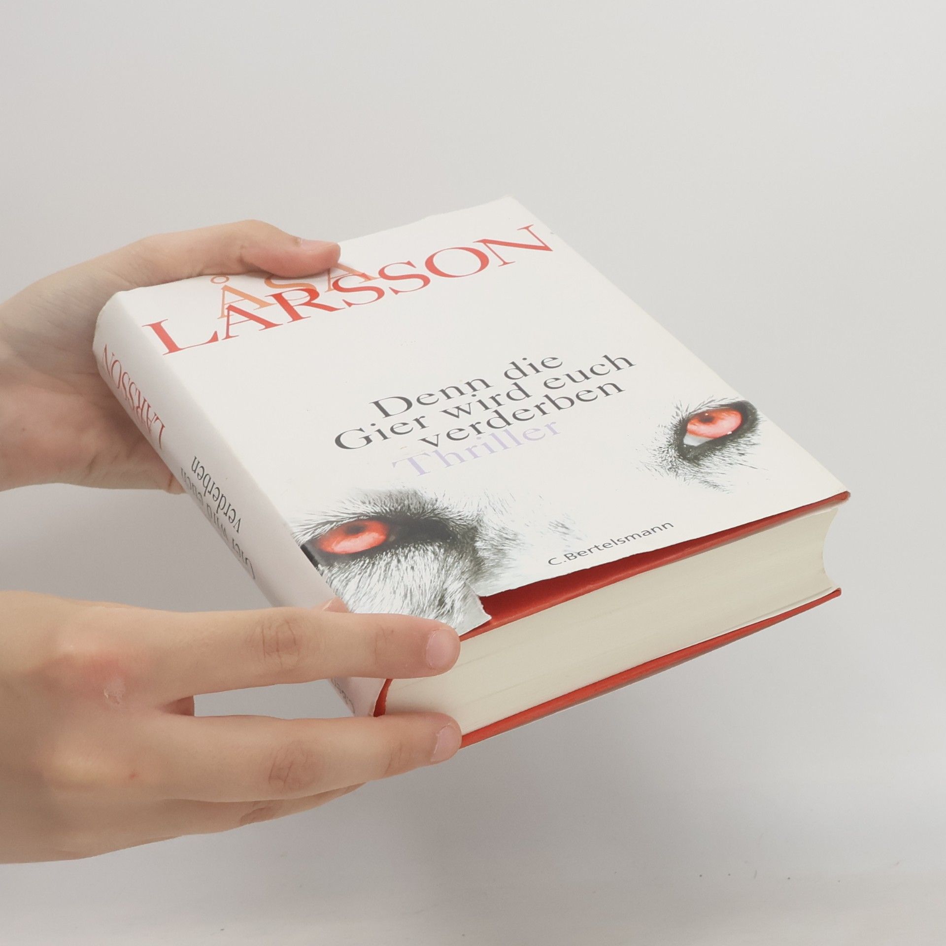 Åsa Larsson Denn die Gier wird euch verderben
