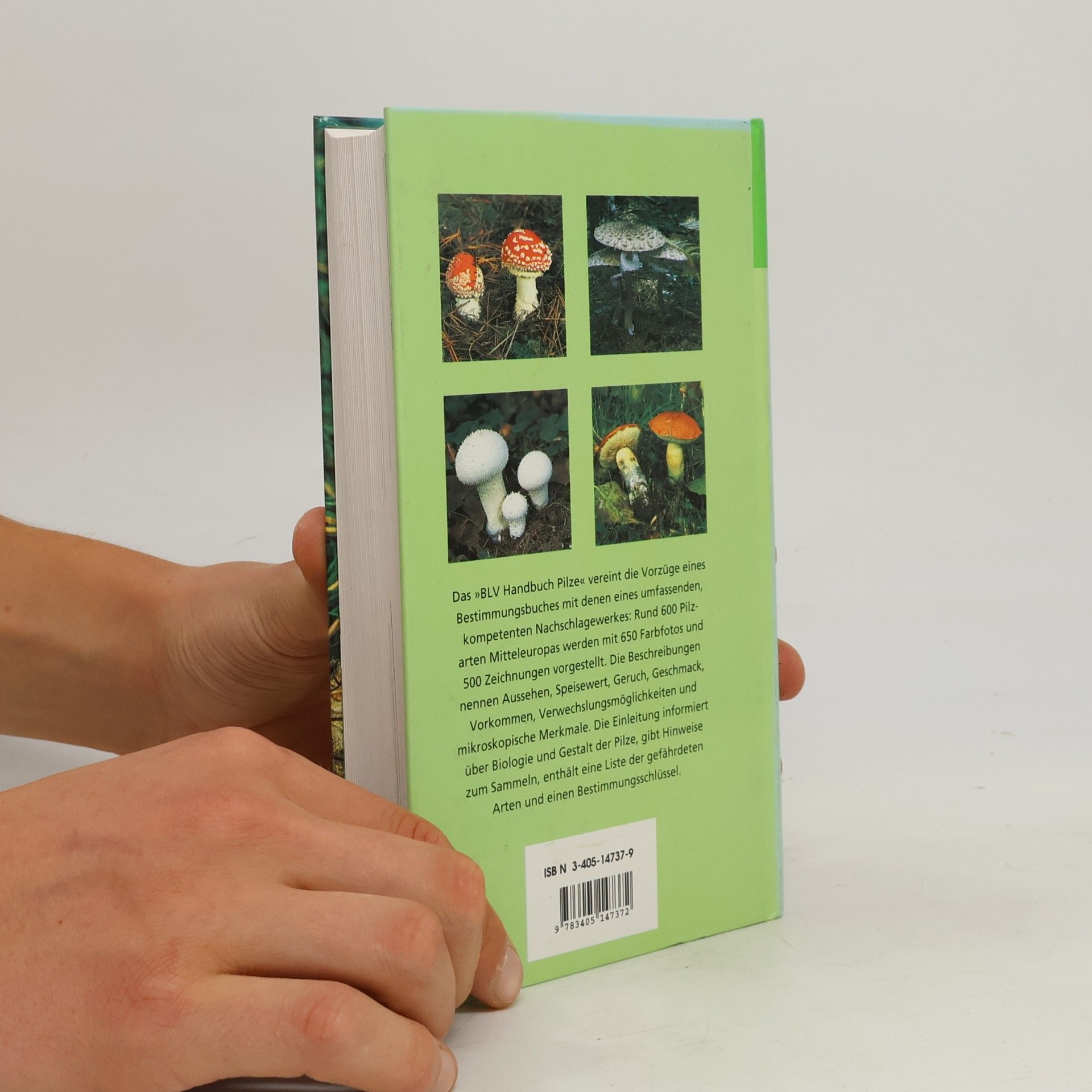 Ewald Gerhardt BLV-Handbuch Pilze