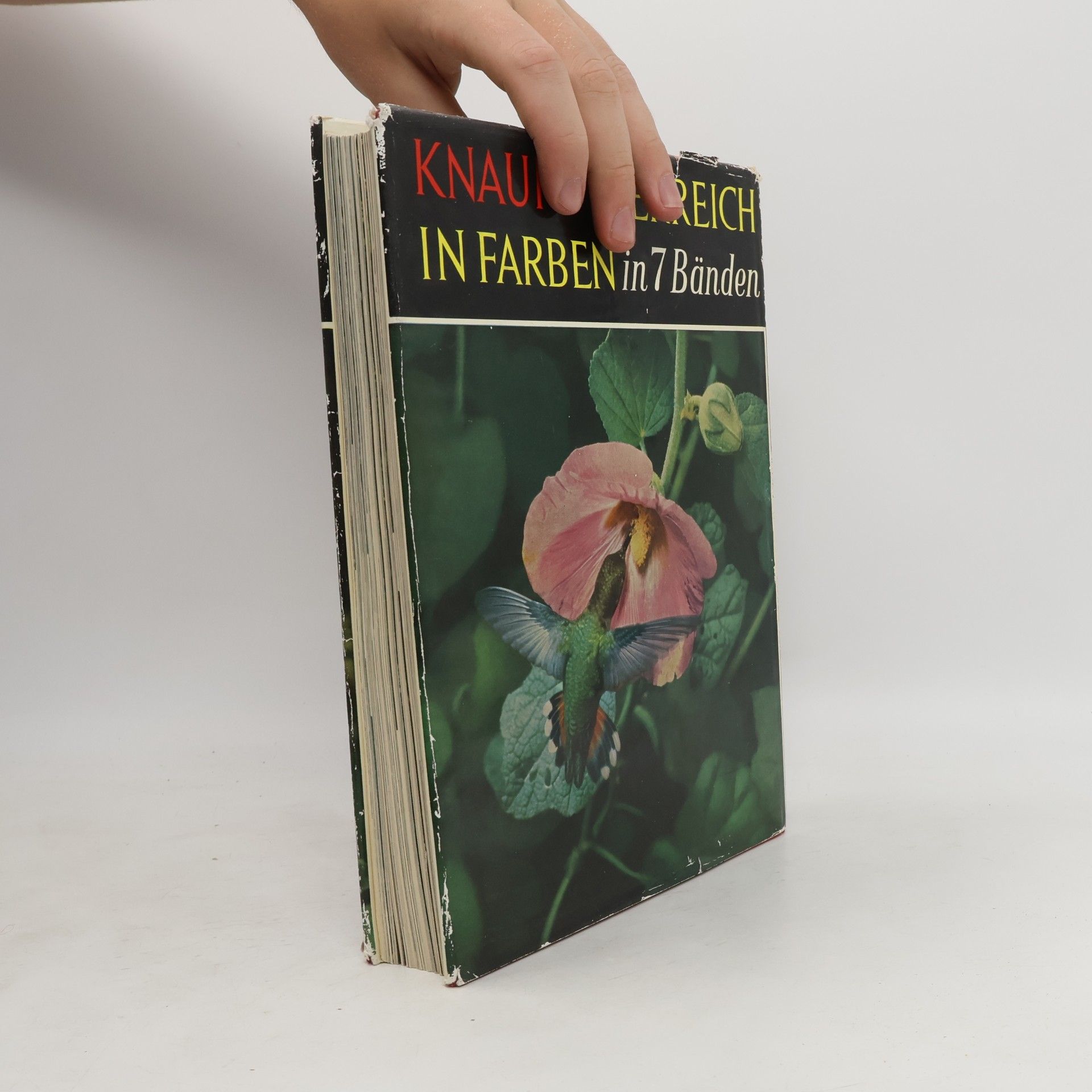Autorenkollektiv Knaurs Tierreich in Farben. Vögel