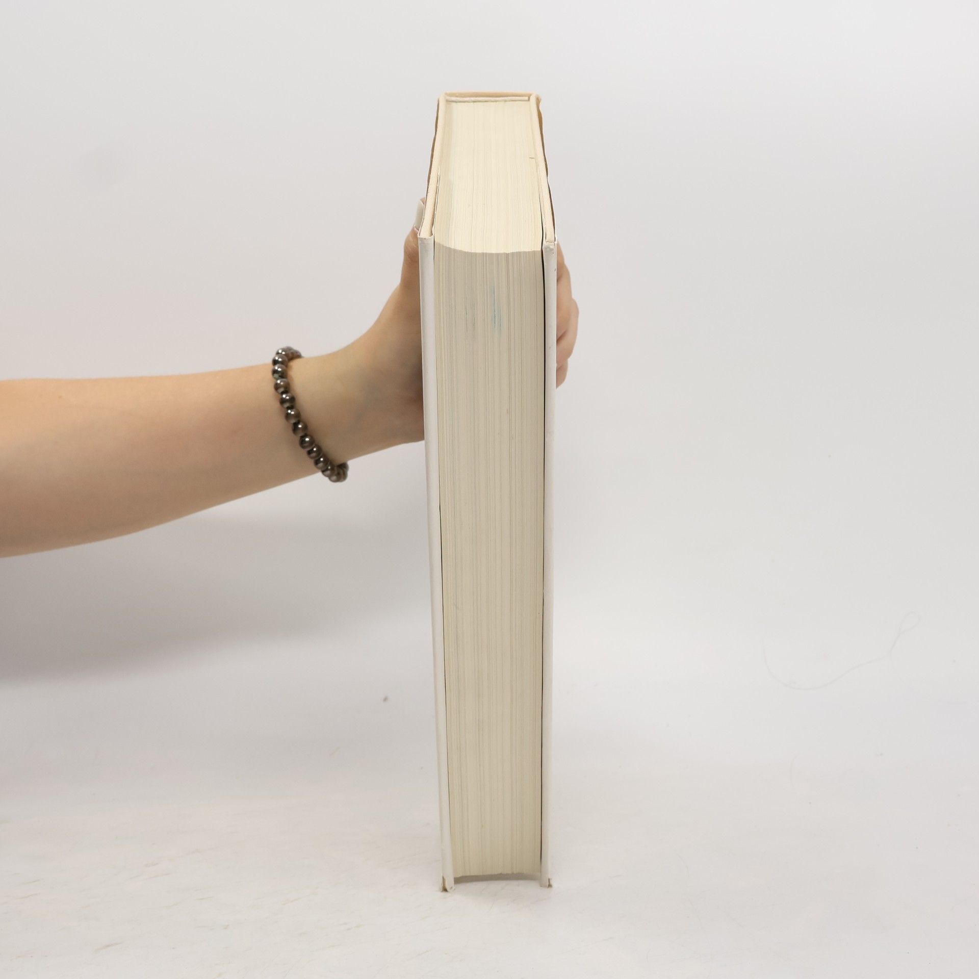 Heinrich Zille Das dicke Zille-Buch