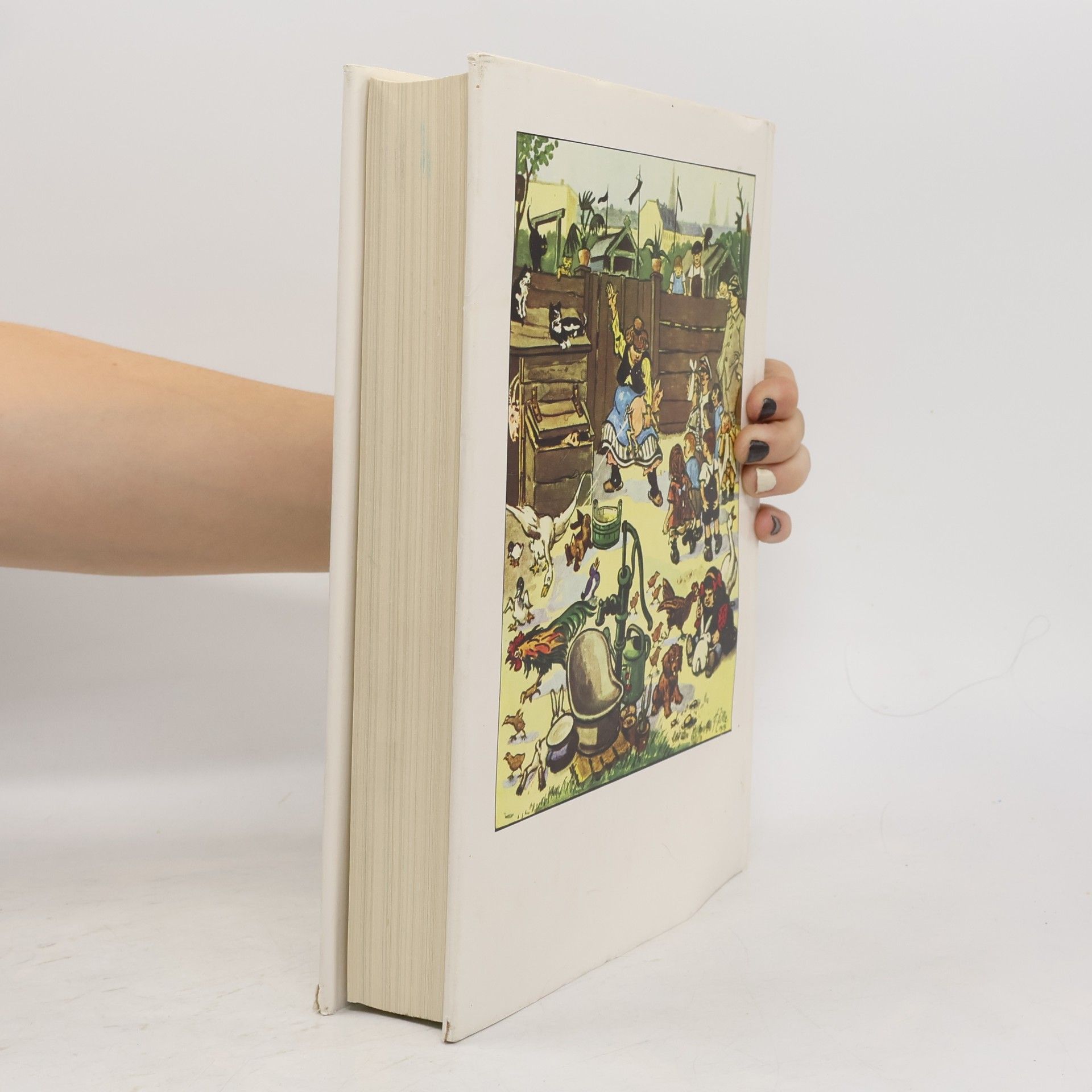 Heinrich Zille Das dicke Zille-Buch