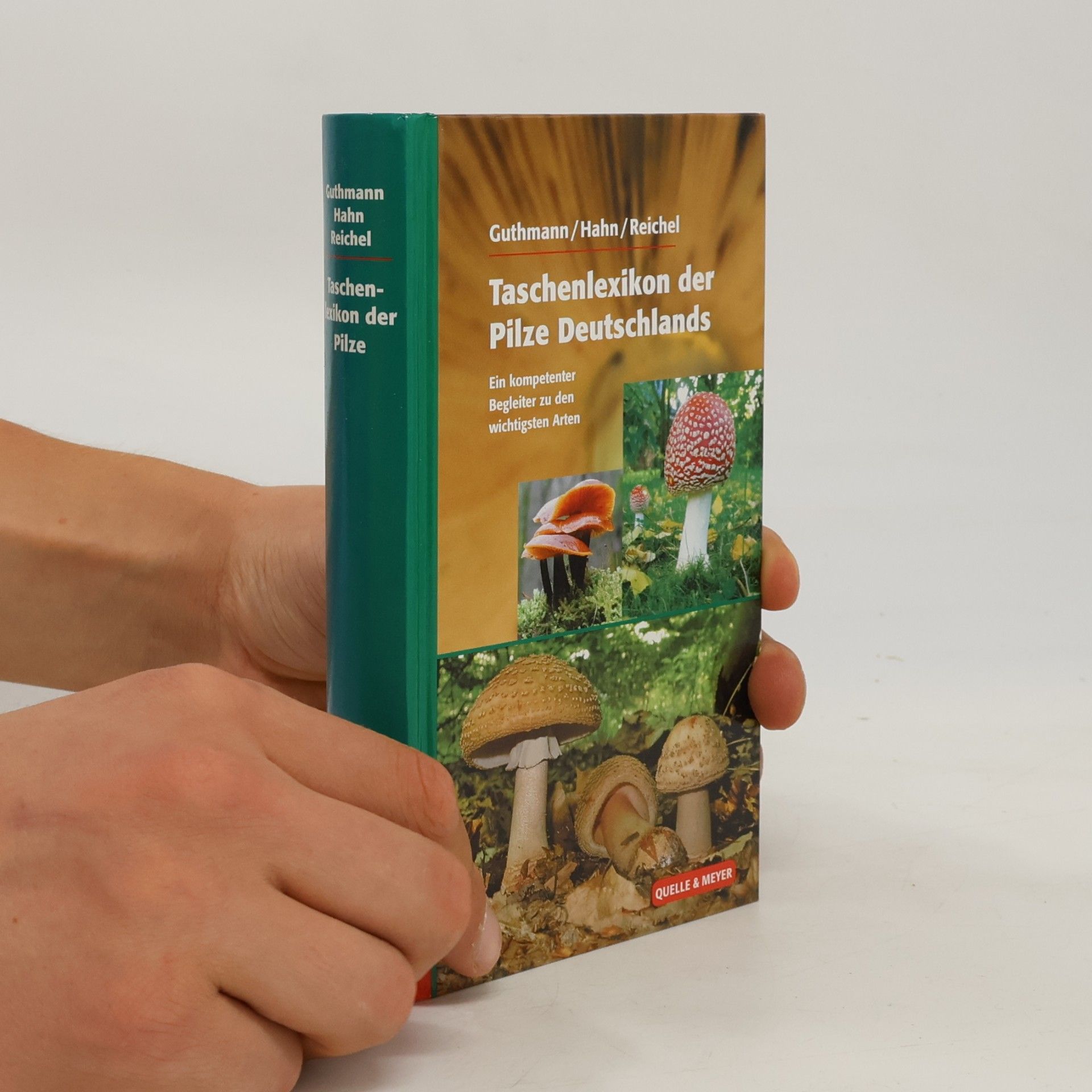 Jürgen Guthmann Taschenlexikon der Pilze Deutschlands