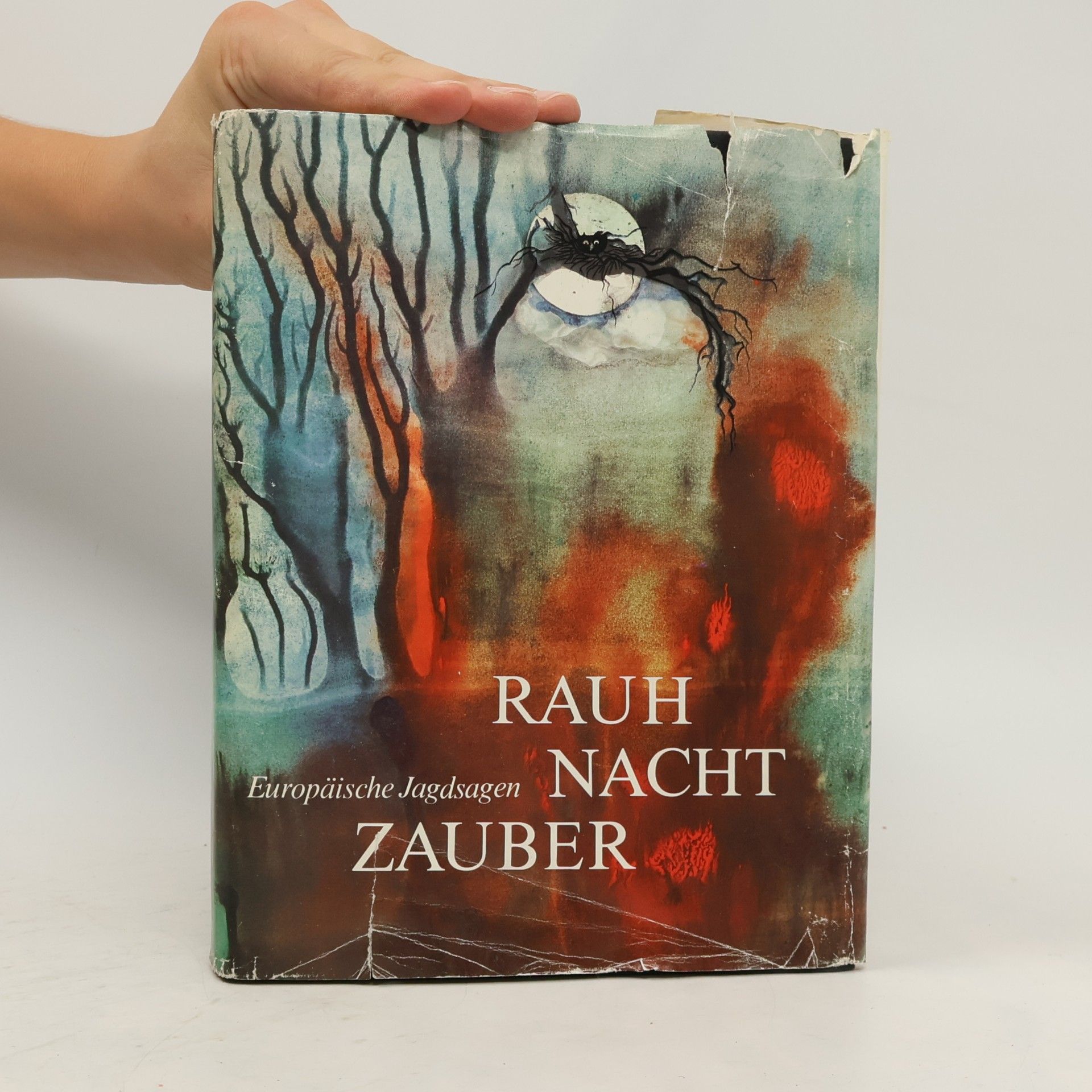 Autorenkollektiv Rauh nacht Zauber. Europäische Jagdsager