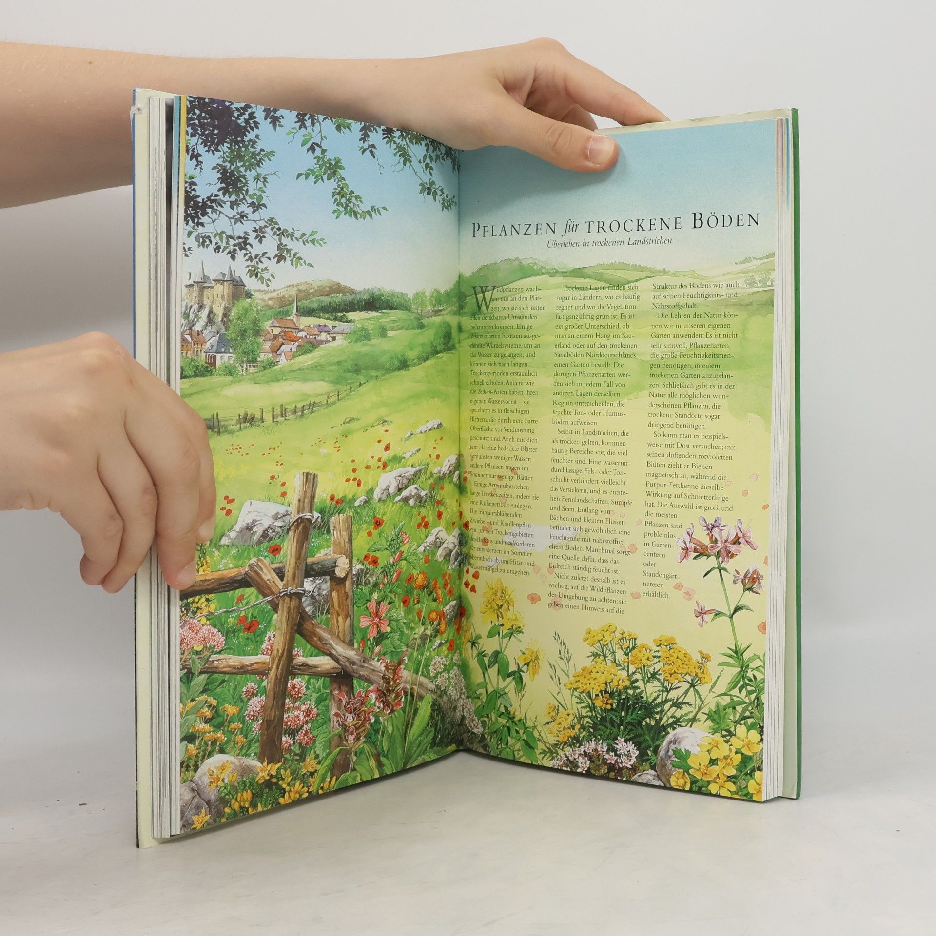 Wiert Nieuman Der Naturgarten