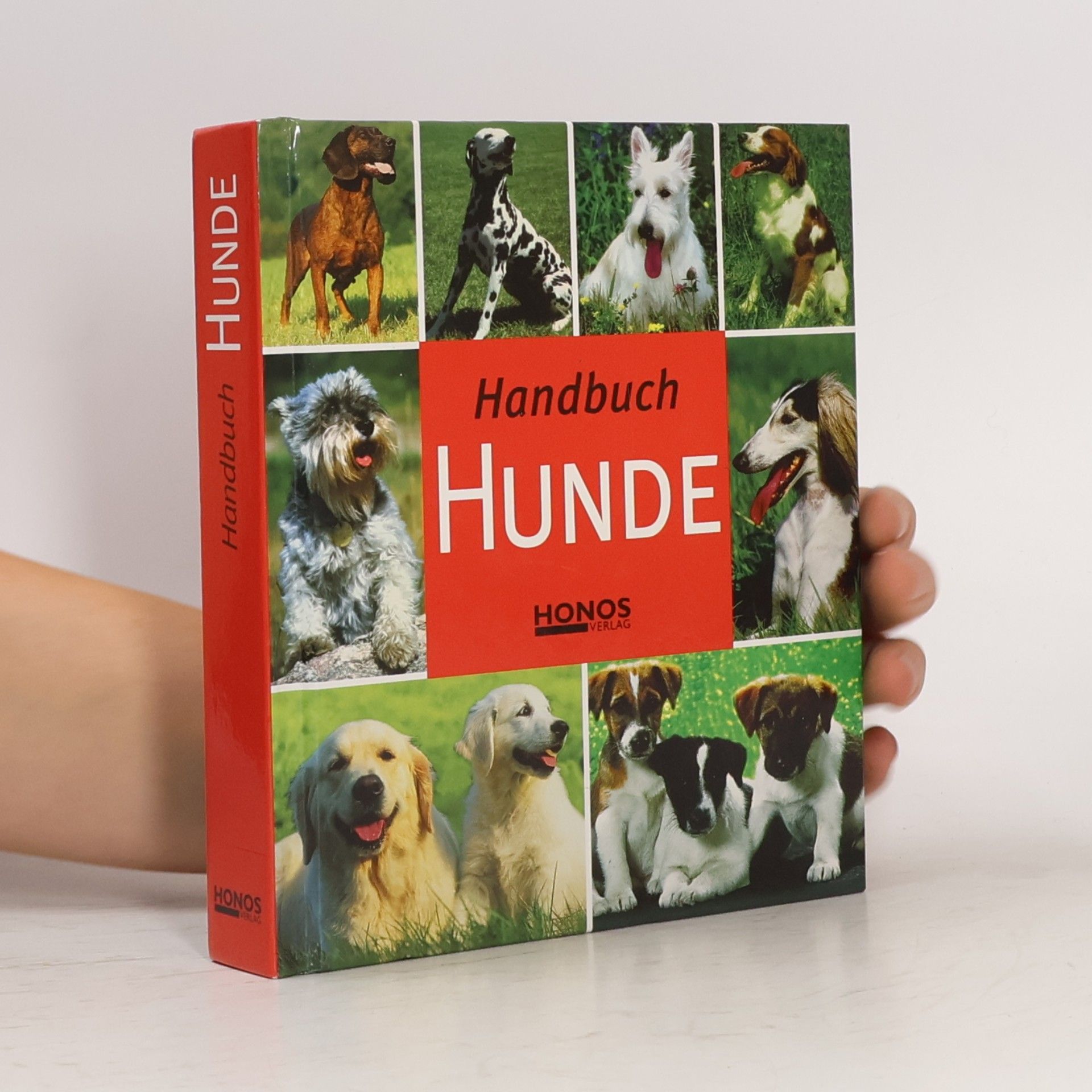 Autorenkollektiv Handbuch Hunde
