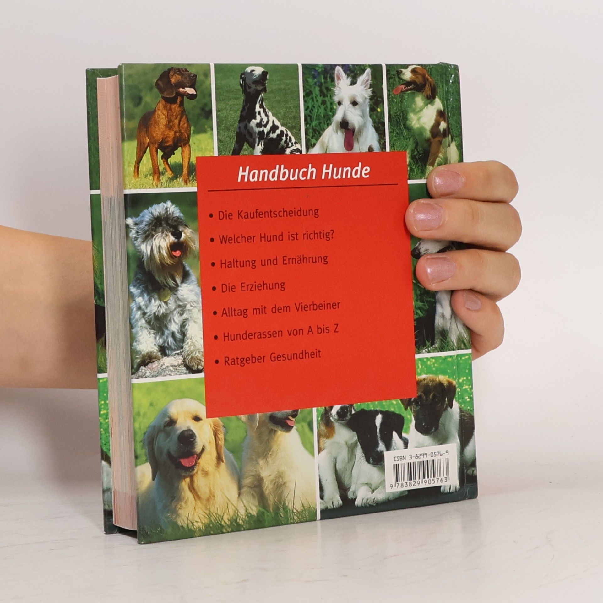 Autores varios Handbuch Hunde