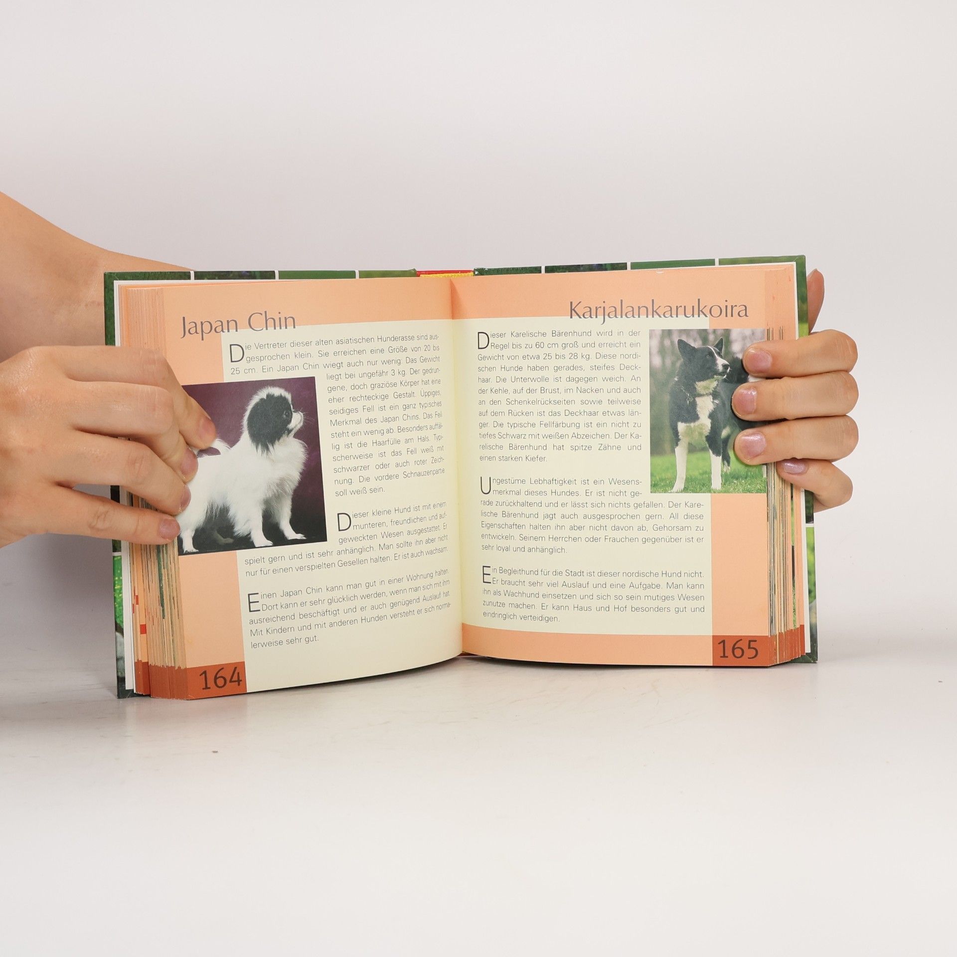 Autores varios Handbuch Hunde