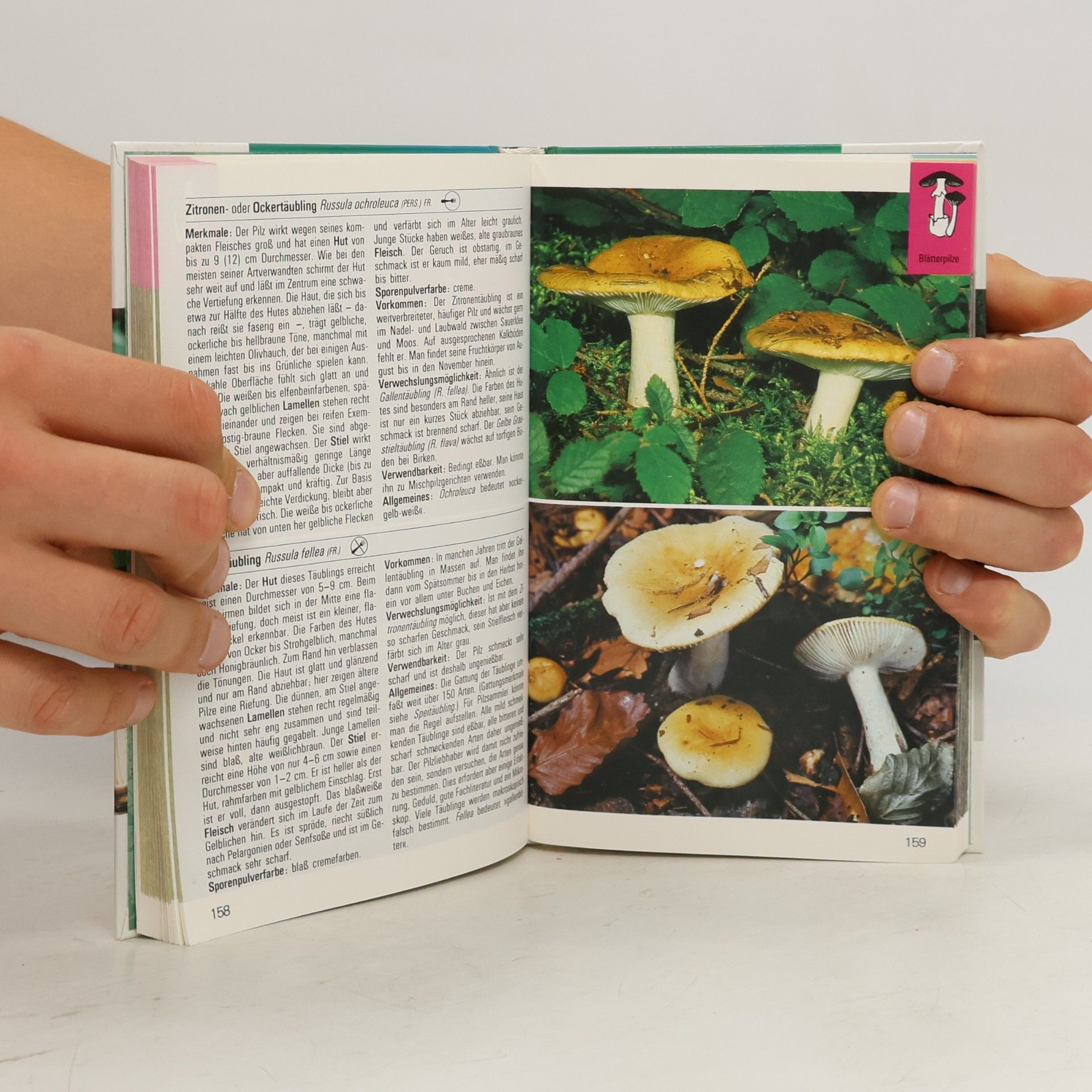 Various authors Steinbachs Naturführer. Pilze