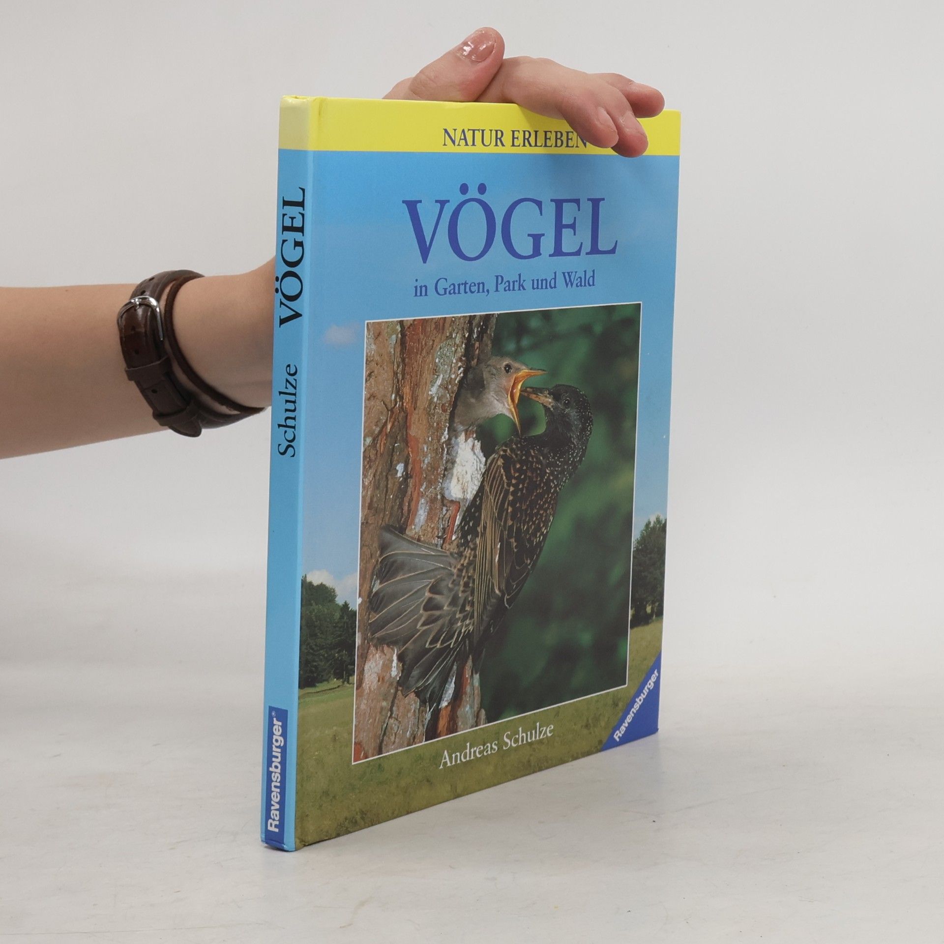 Andreas Schulze Vögel in Garten, Park und Wald