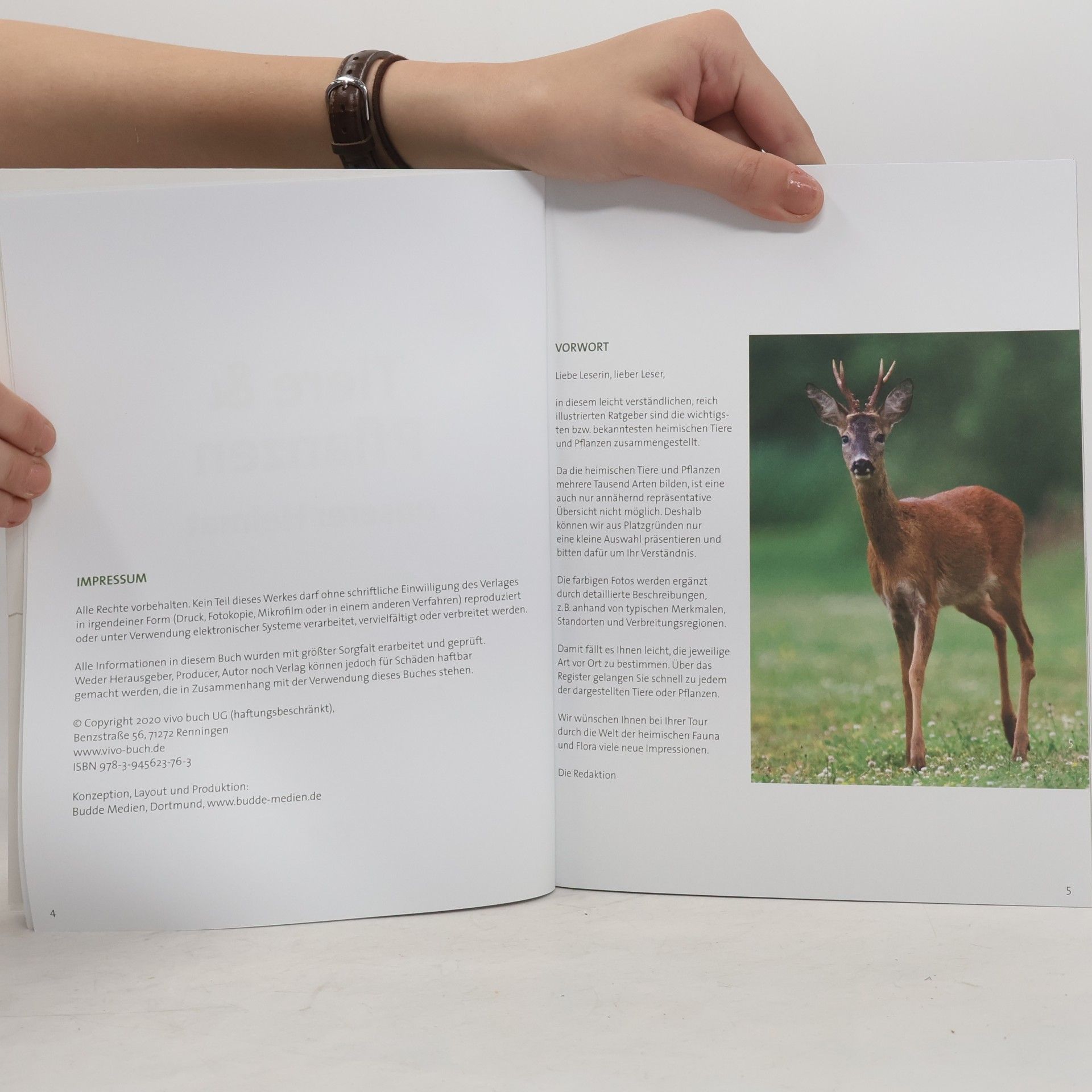 Autorenkollektiv Tiere & Pflanzen unserer Heimat