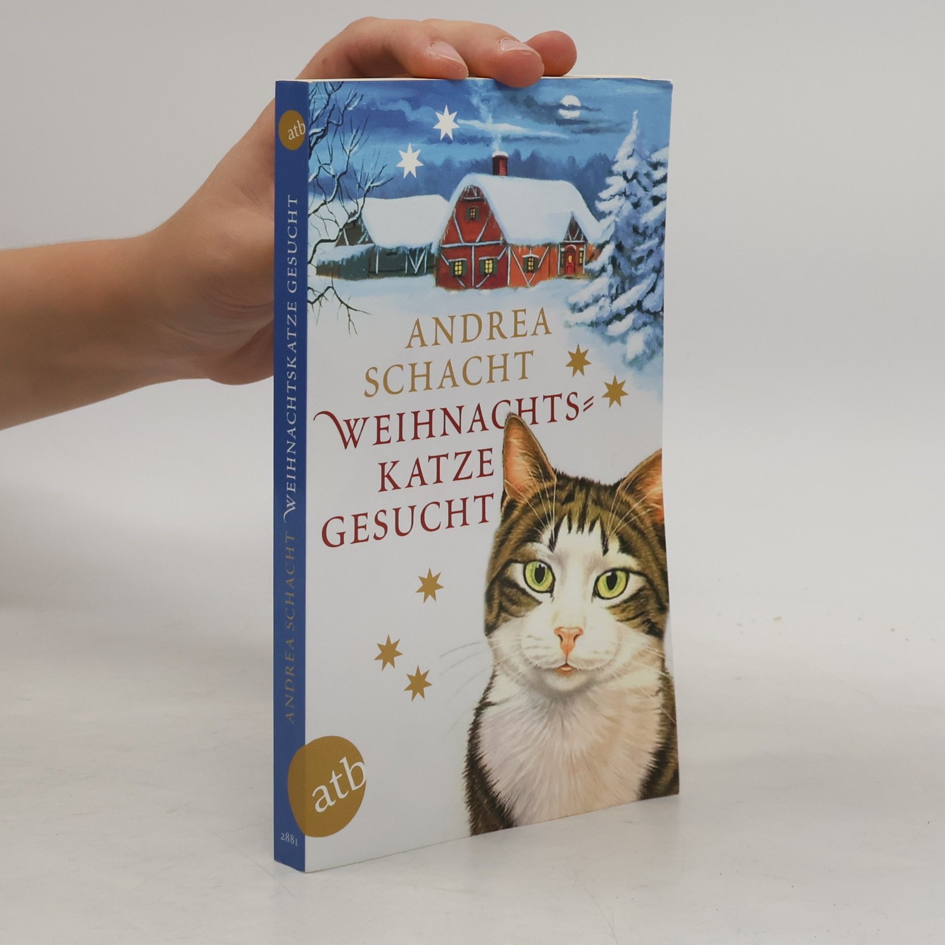 Andrea Schacht Weihnachtskatze gesucht
