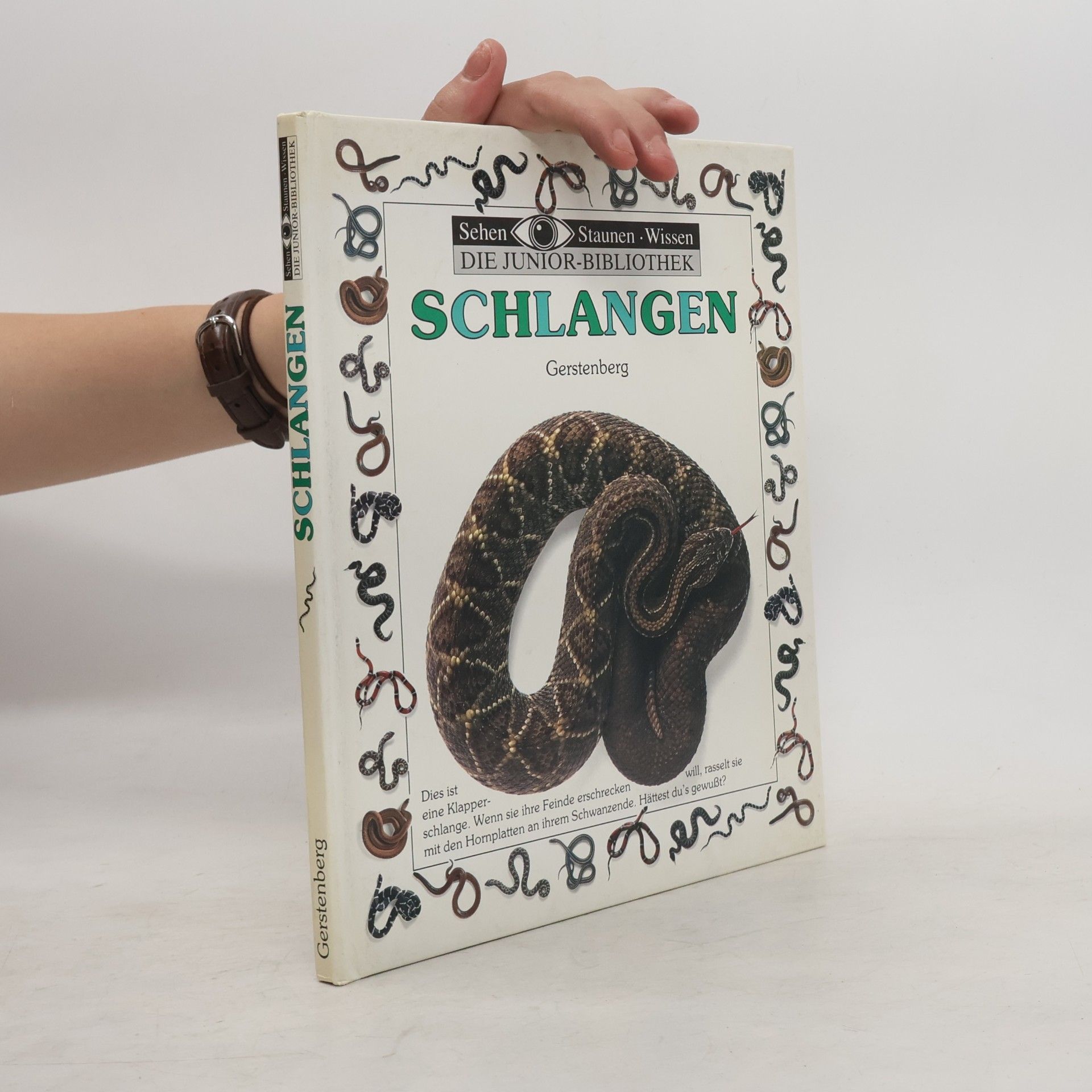 Alexandra Parsons Schlangen