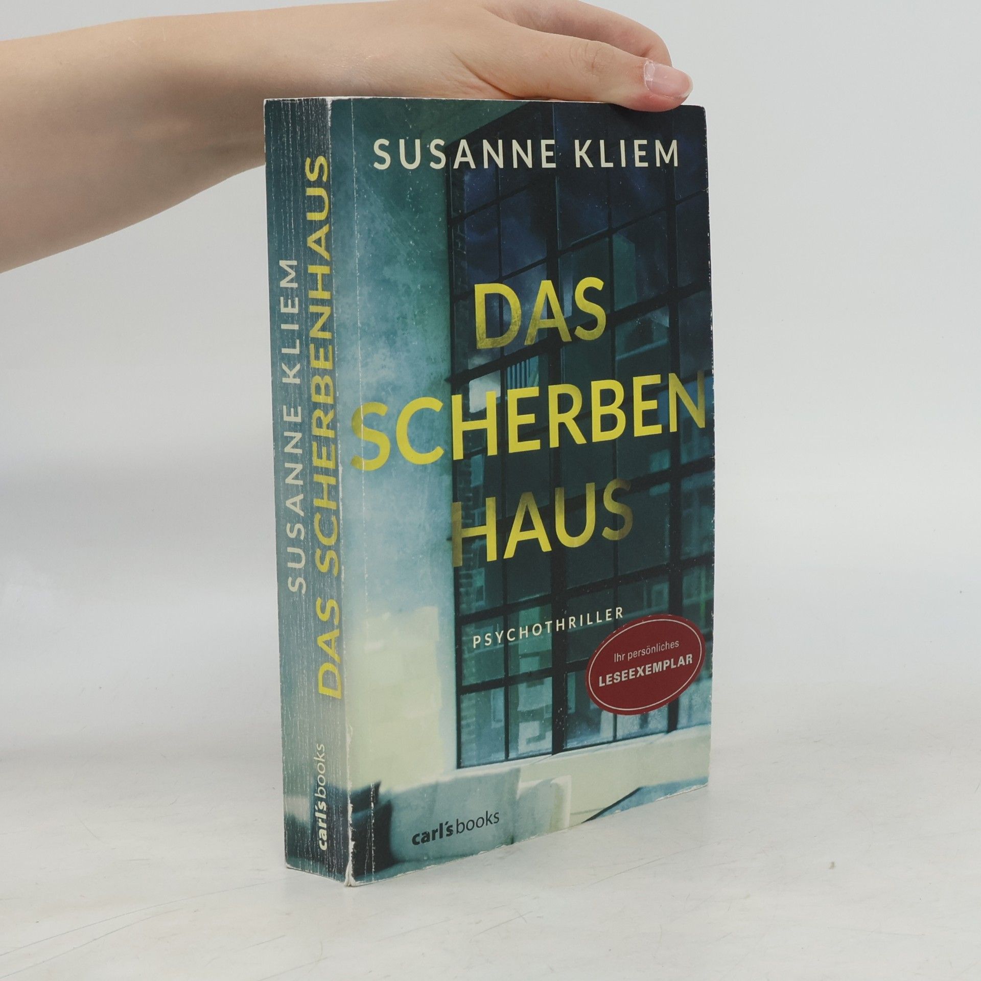 Susanne Kliem Das Scherbenhaus