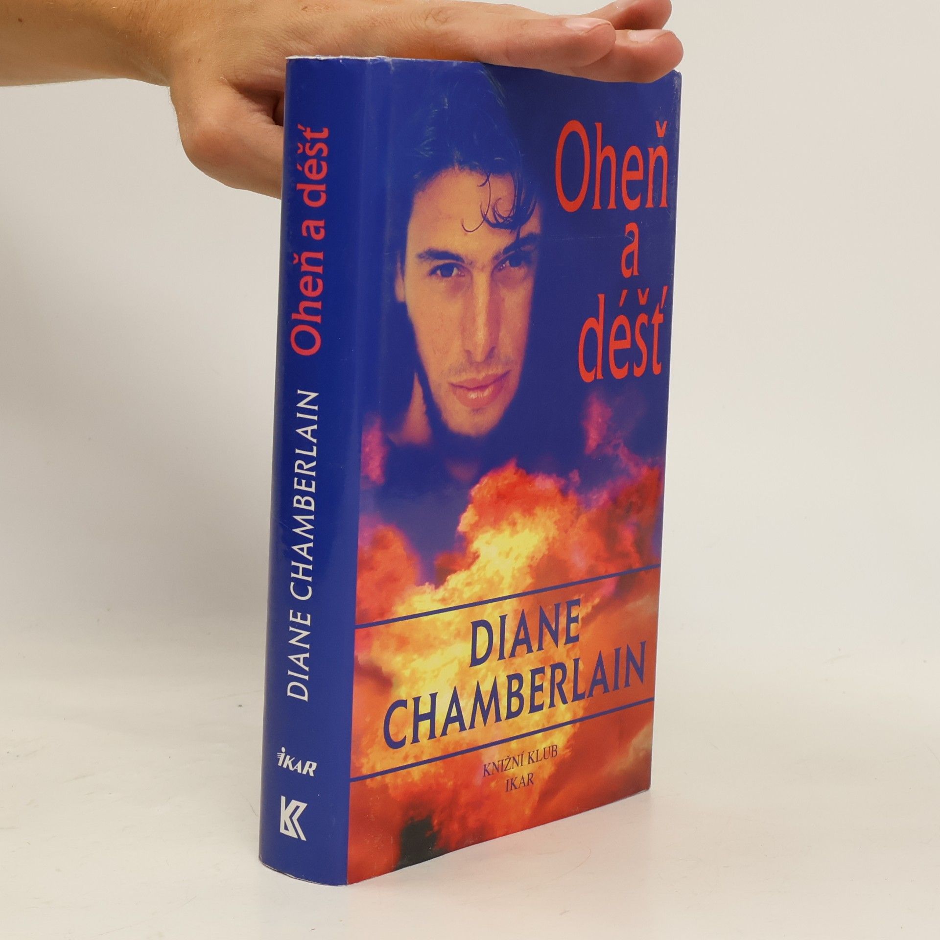 Diane Chamberlain Oheň a déšť