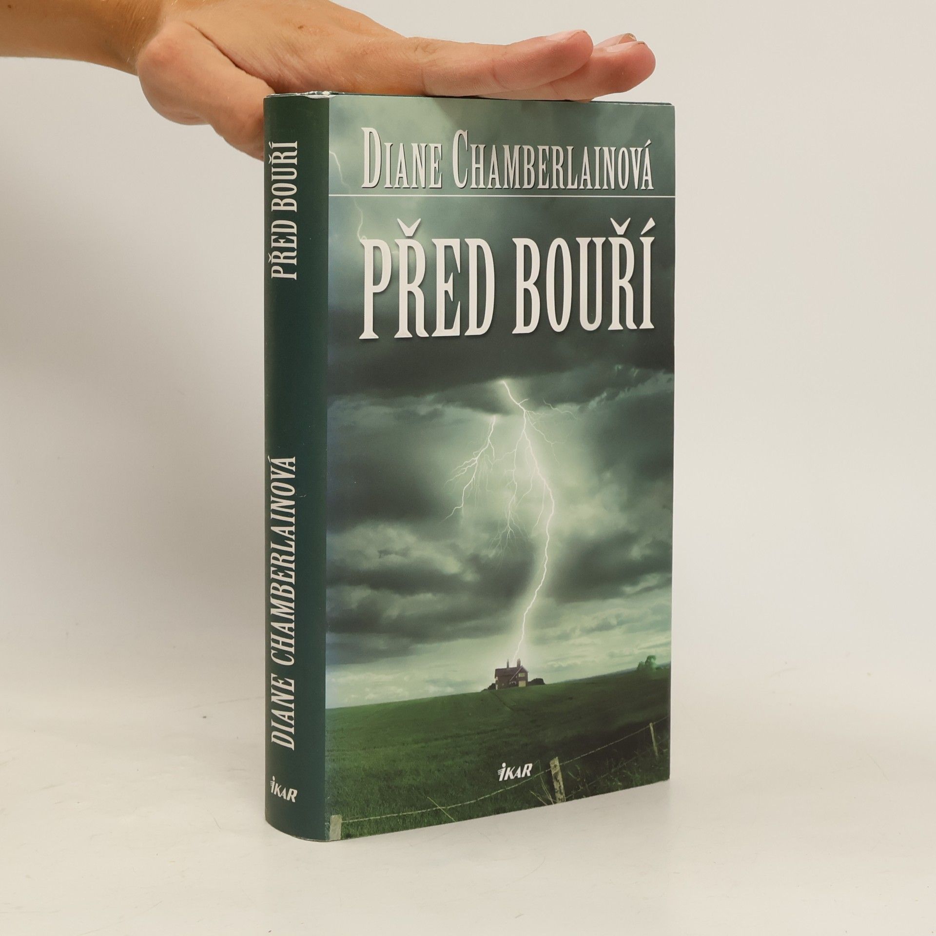 Diane Chamberlain Před bouří