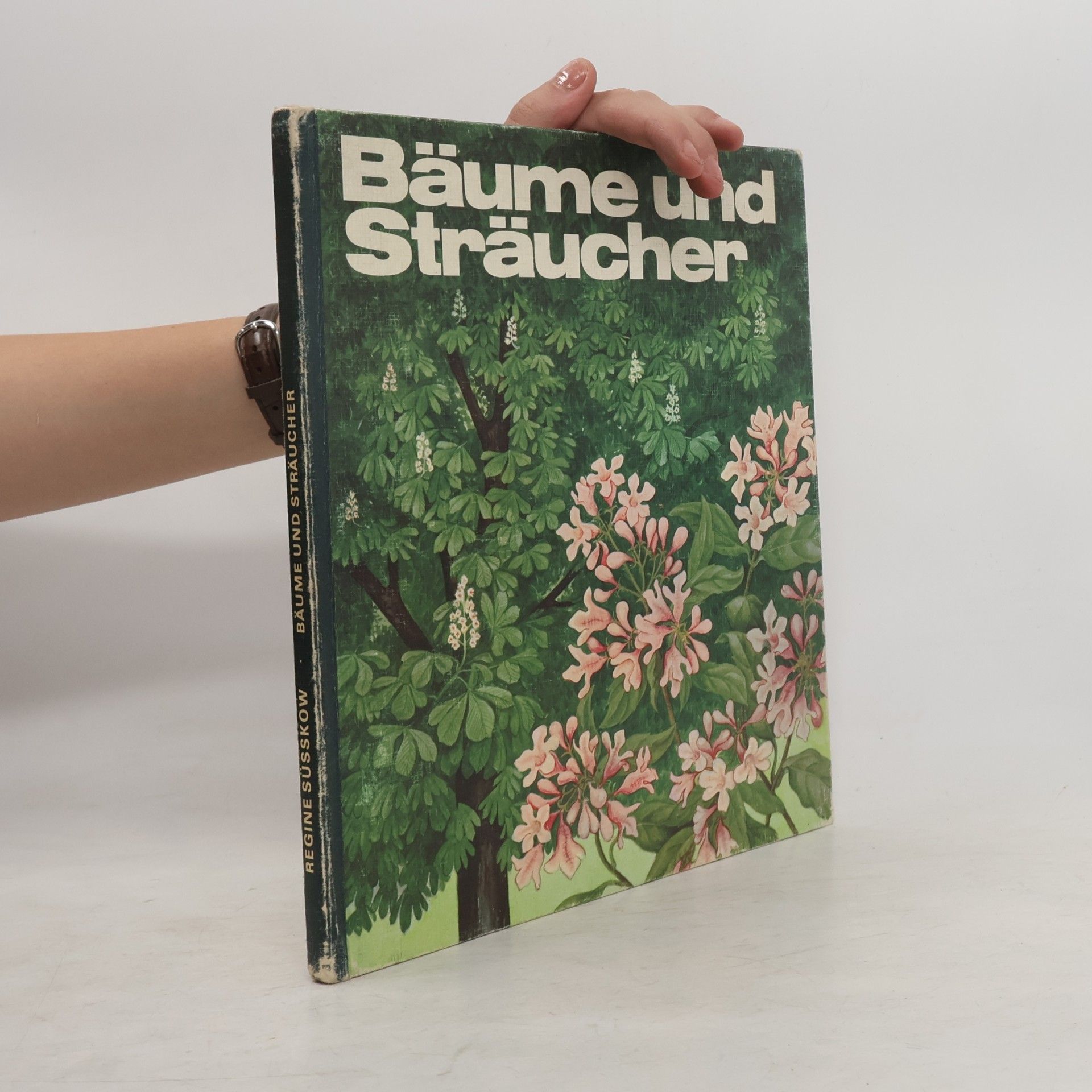 Regine Süsskow Bäume und Sträucher