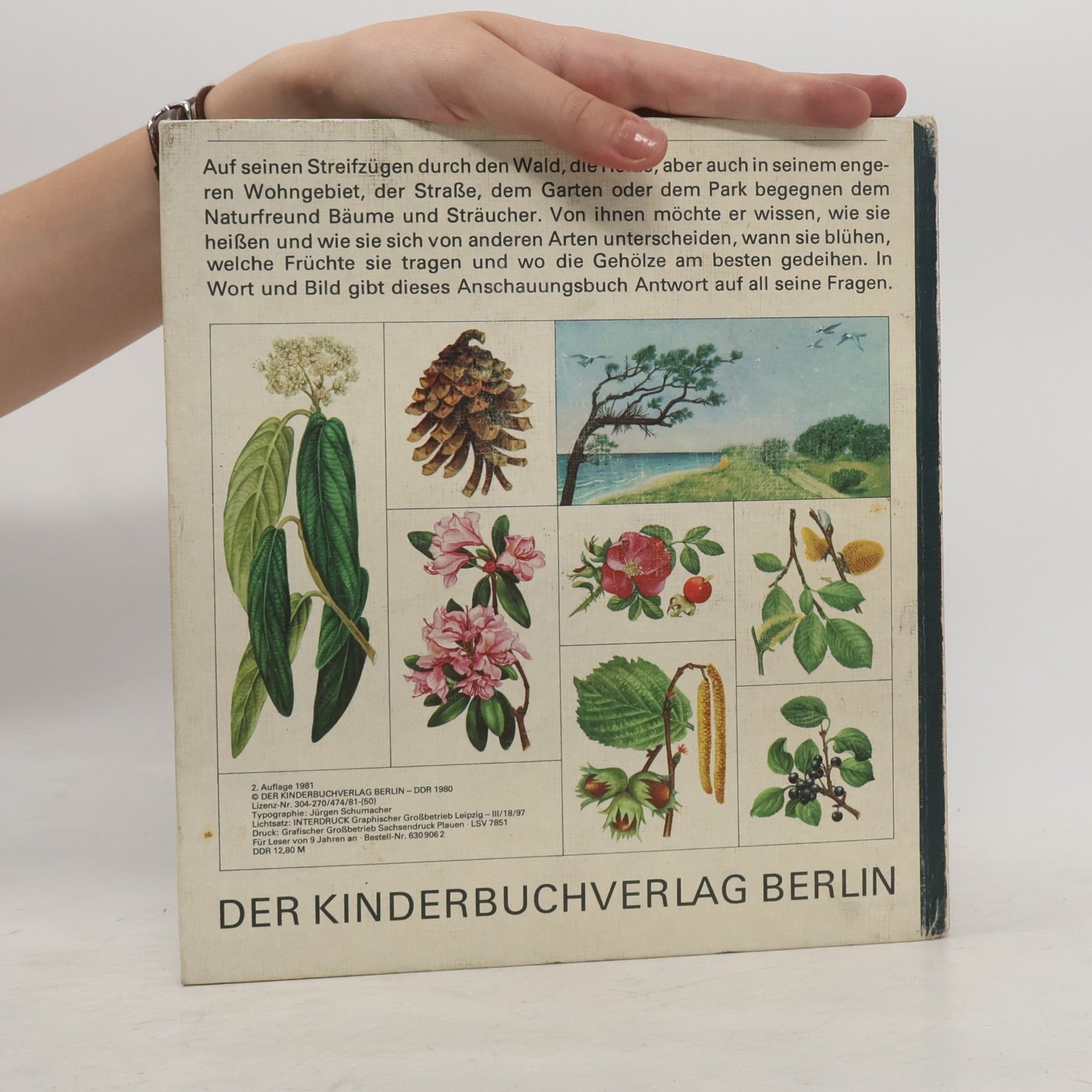 Regine Süsskow Bäume und Sträucher
