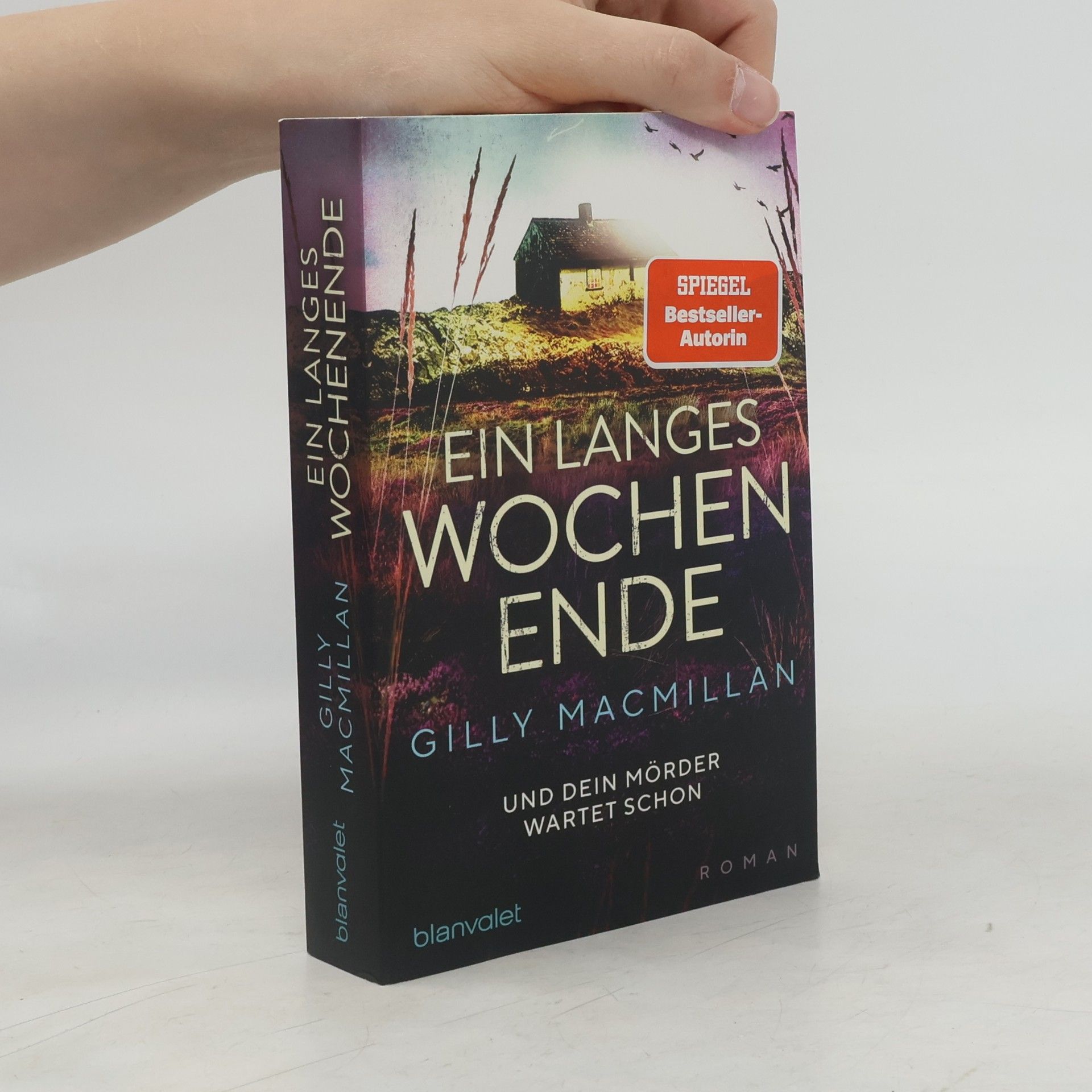 Gilly Macmillan Ein langes Wochenende