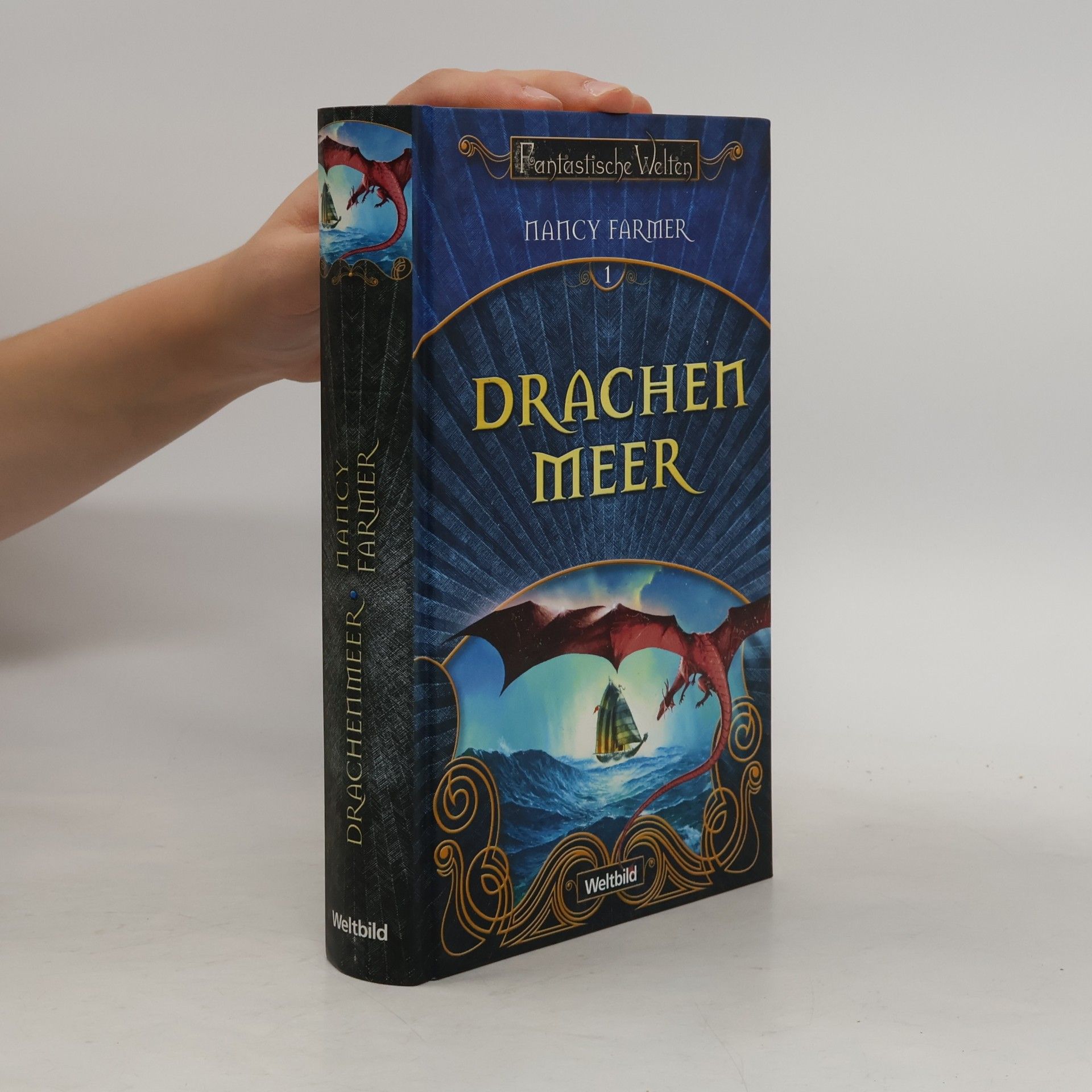 Nancy Farmer Drachen Meer 1