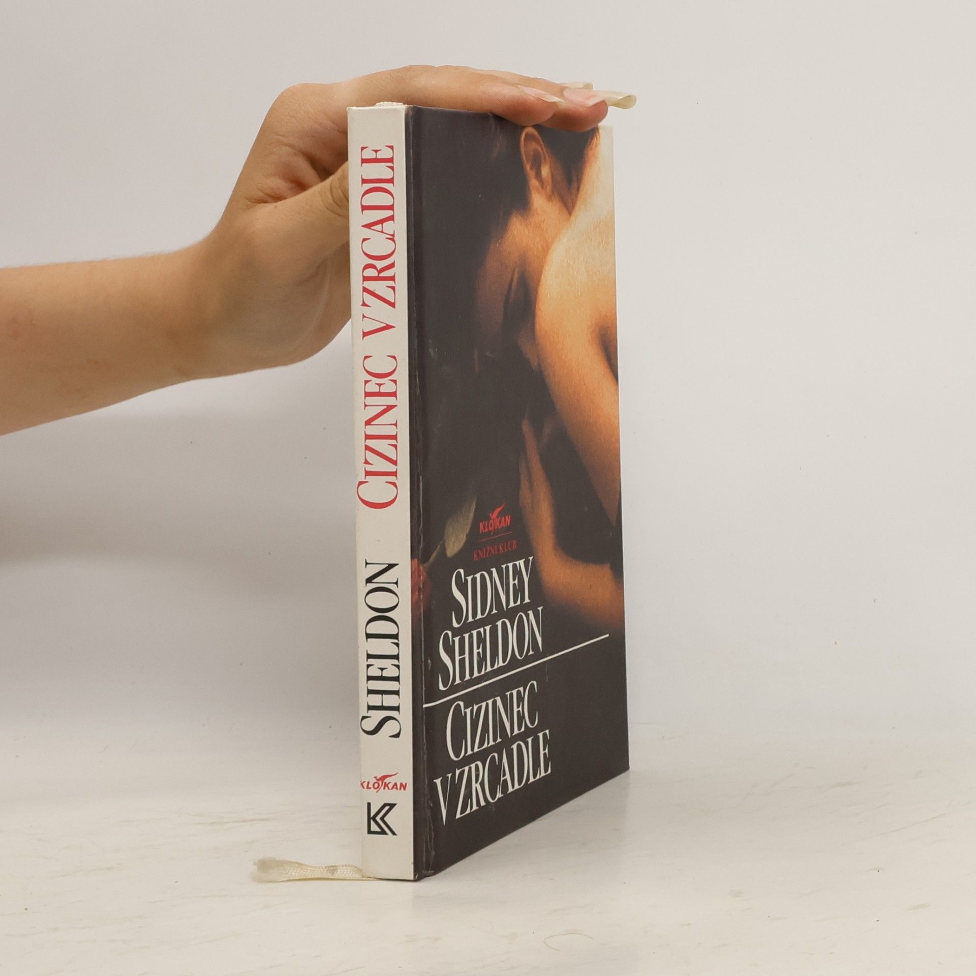 Sidney Sheldon Cizinec v zrcadle