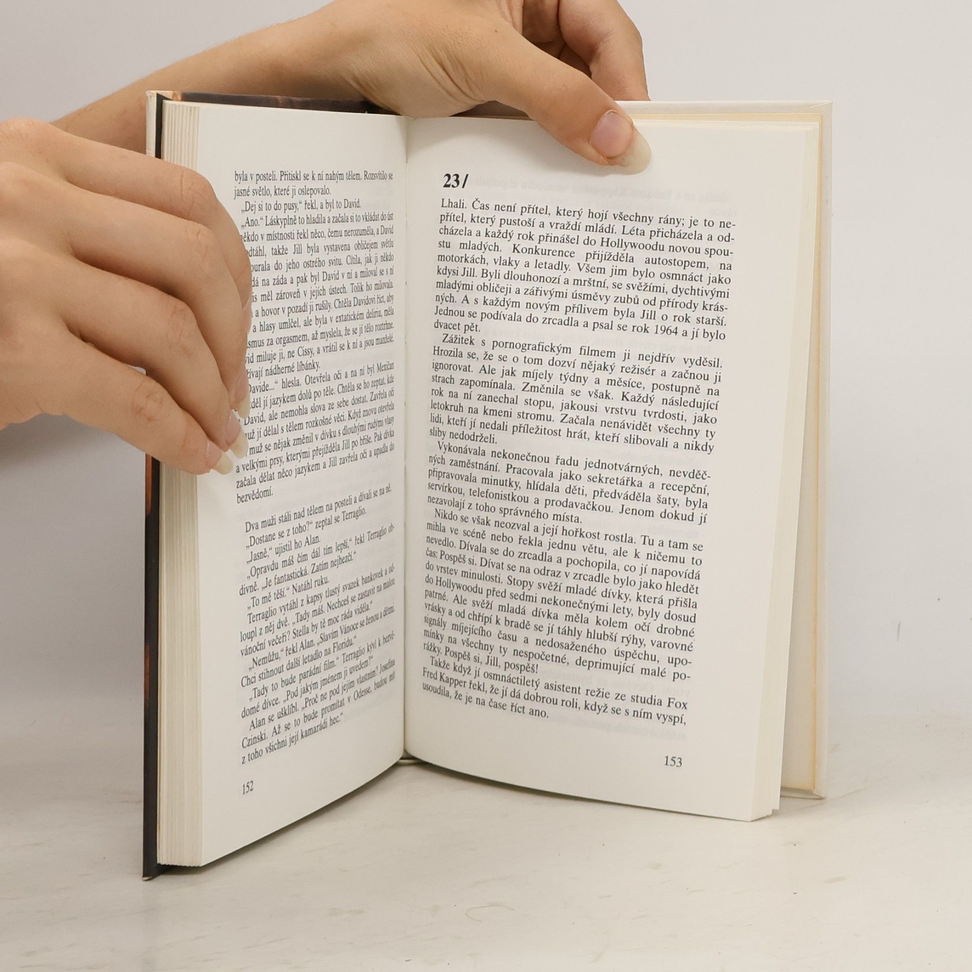 Sidney Sheldon Cizinec v zrcadle